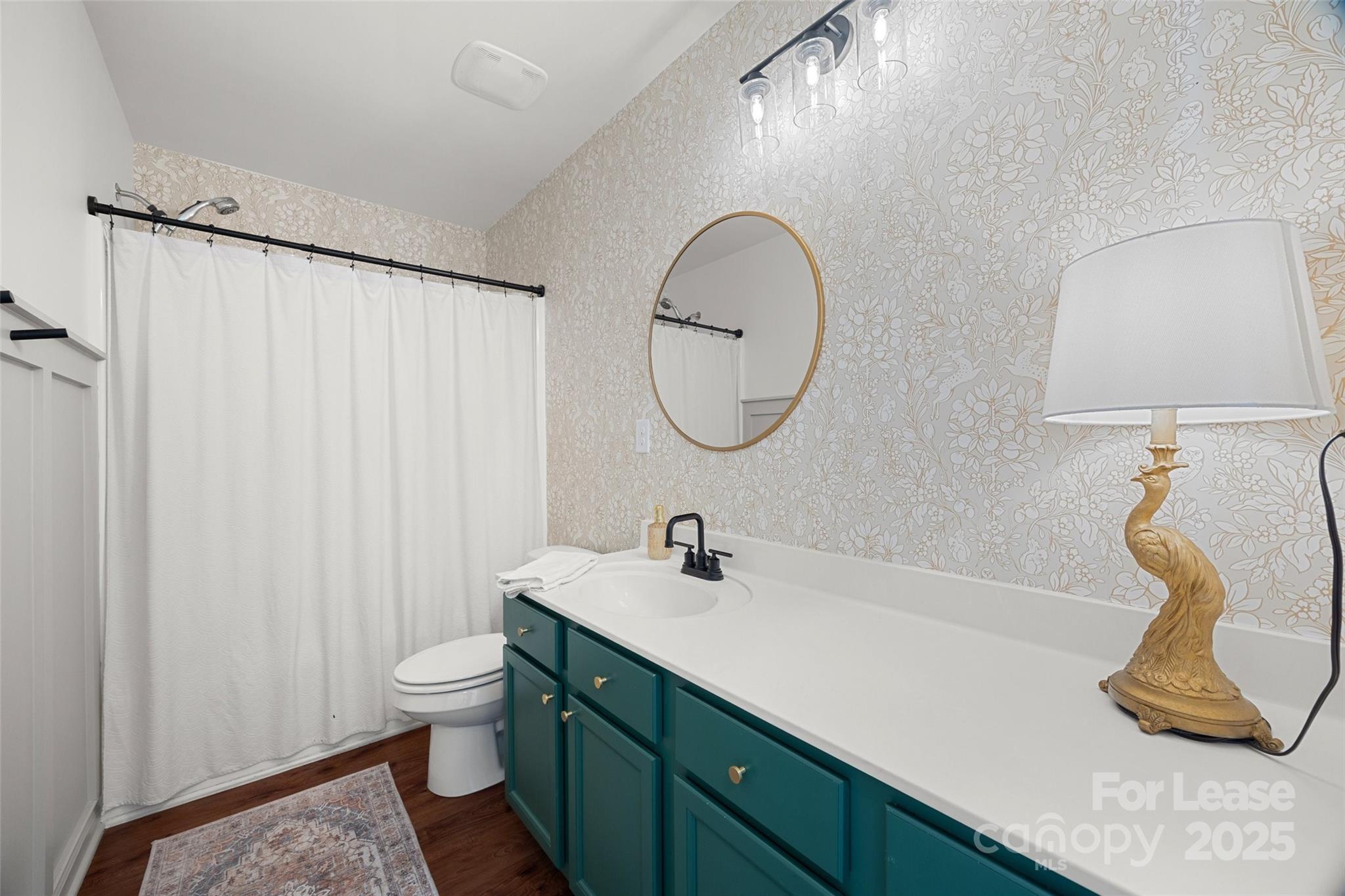 1668 Beleek Ridge Lane Clover, SC 29710 - Photo 26 of 42 a bathroom with a sink and a mirror