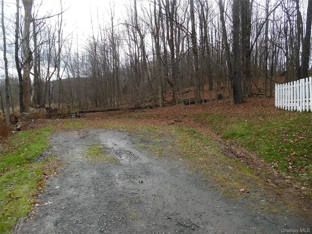 a view of backyard with green space
