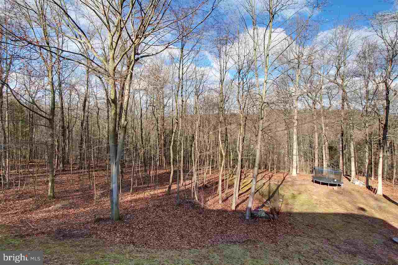 1145 Sheepbridge Road York, PA 17406 - Photo 24 of 28 Gallery Image 24