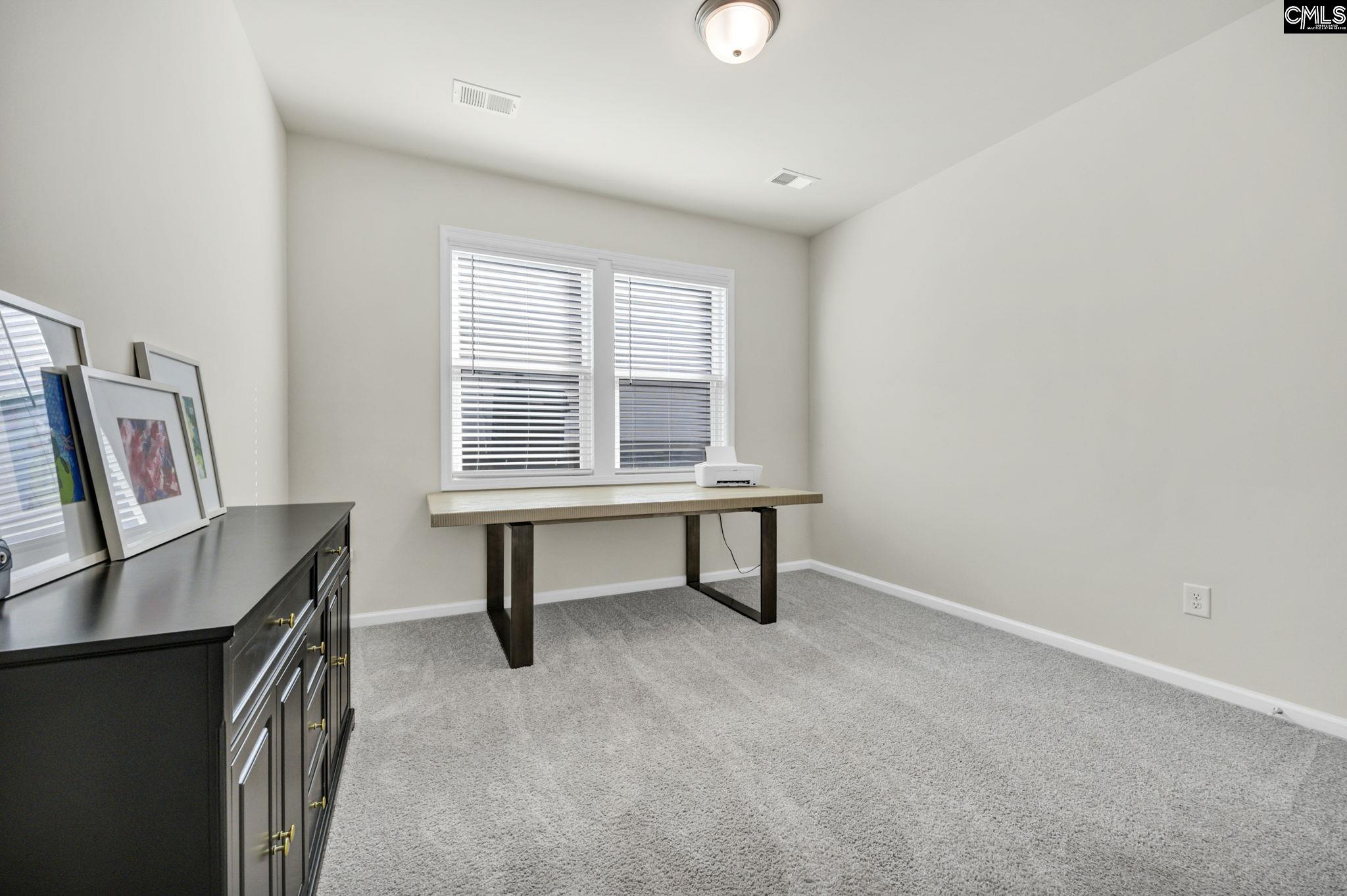 209 Chapin Pl Way Chapin, SC 29036 - Photo 21 of 53