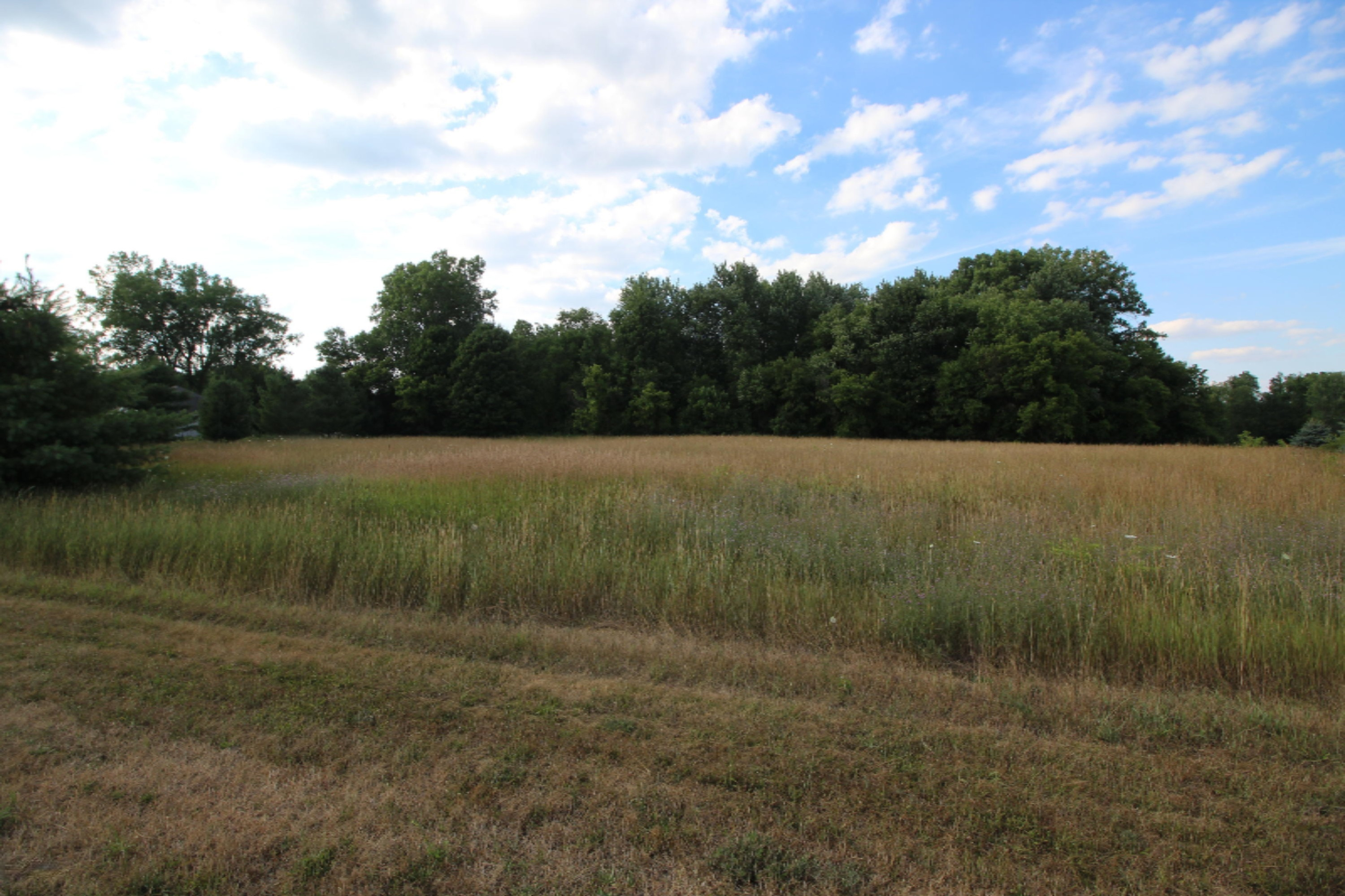 Lot 10 Old Barn Road Freeport, MI 49325 - Photo 3 of 9 Almost 6 acres