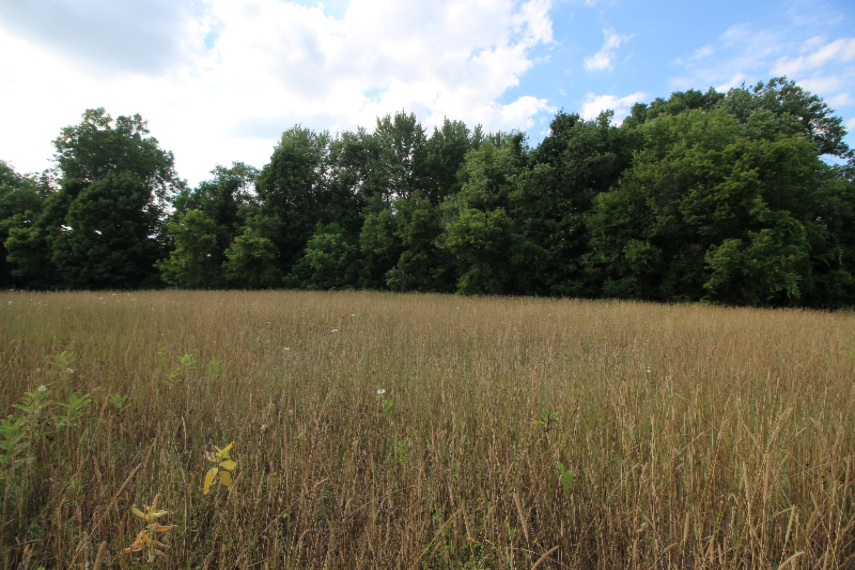 Lot 10 Old Barn Road Freeport, MI 49325 - Photo 7 of 9 IMG_0741