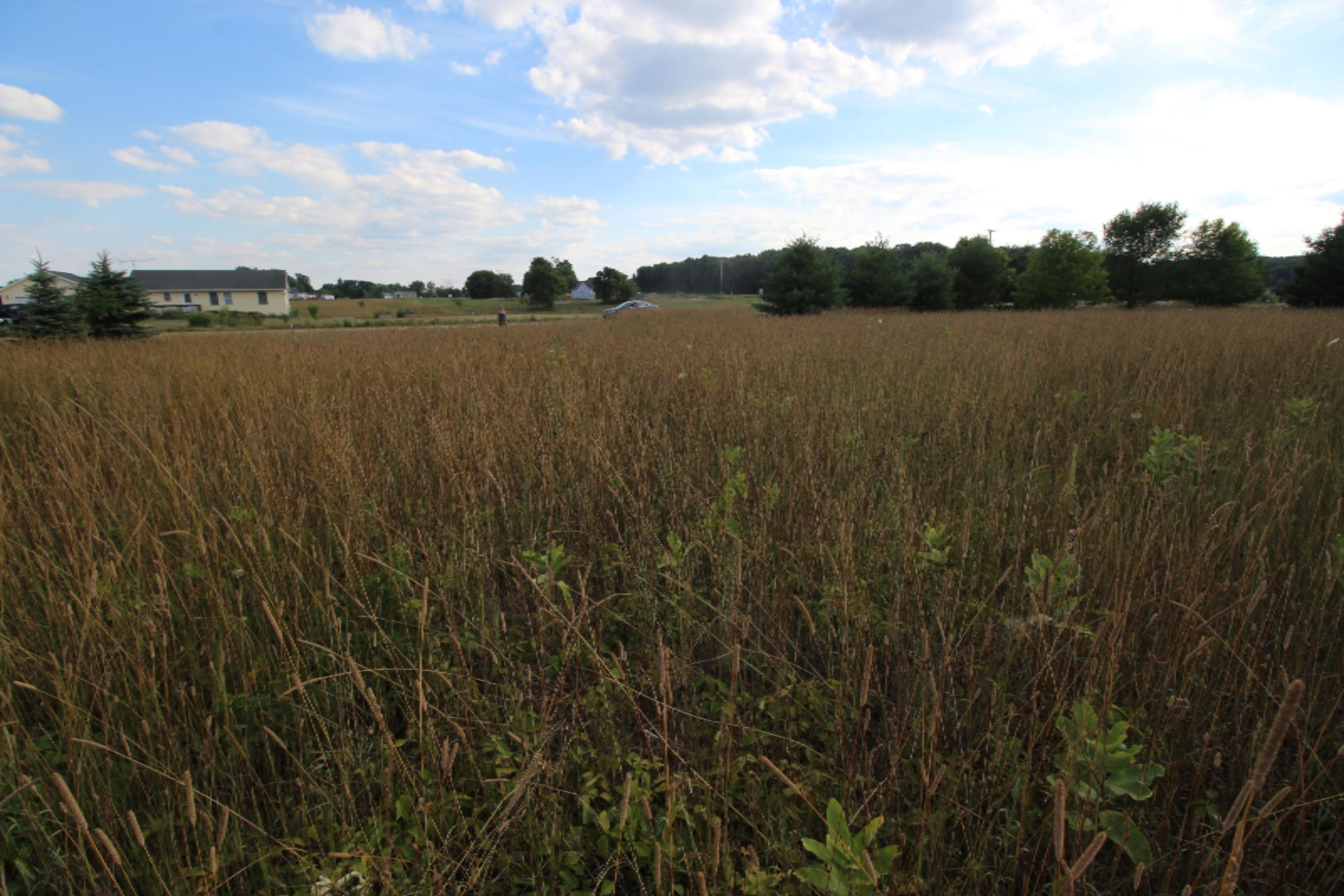 Lot 10 Old Barn Road Freeport, MI 49325 - Photo 8 of 9 IMG_0742
