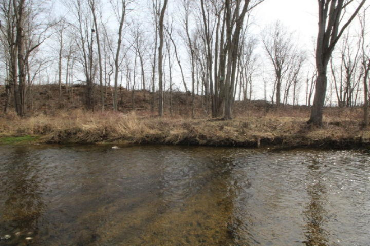 Lot 10 Old Barn Road Freeport, MI 49325 - Photo 9 of 9 Coldwater River