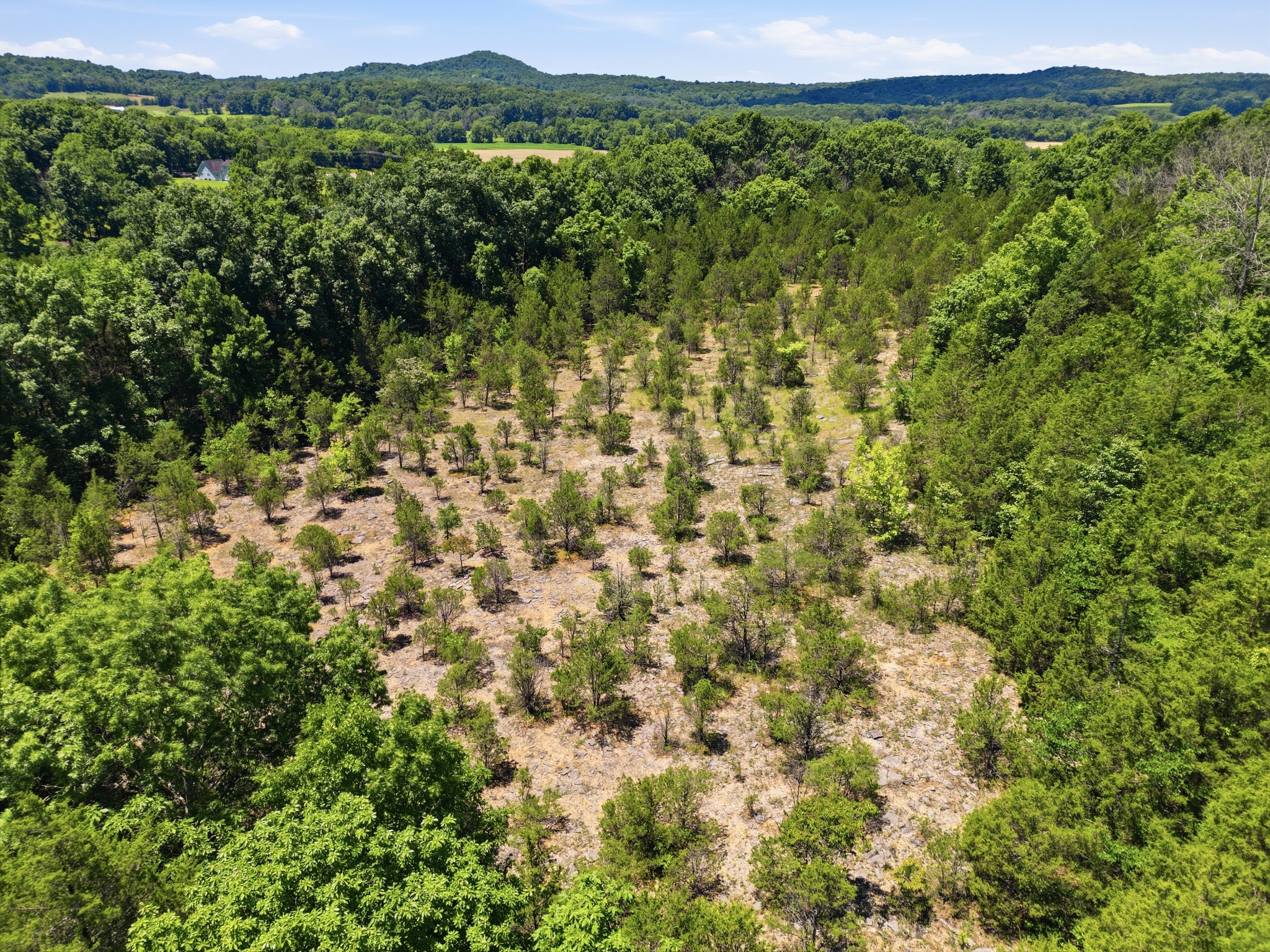 14591 Cainsville Road Lebanon, TN 37090 - Photo 56 of 61
