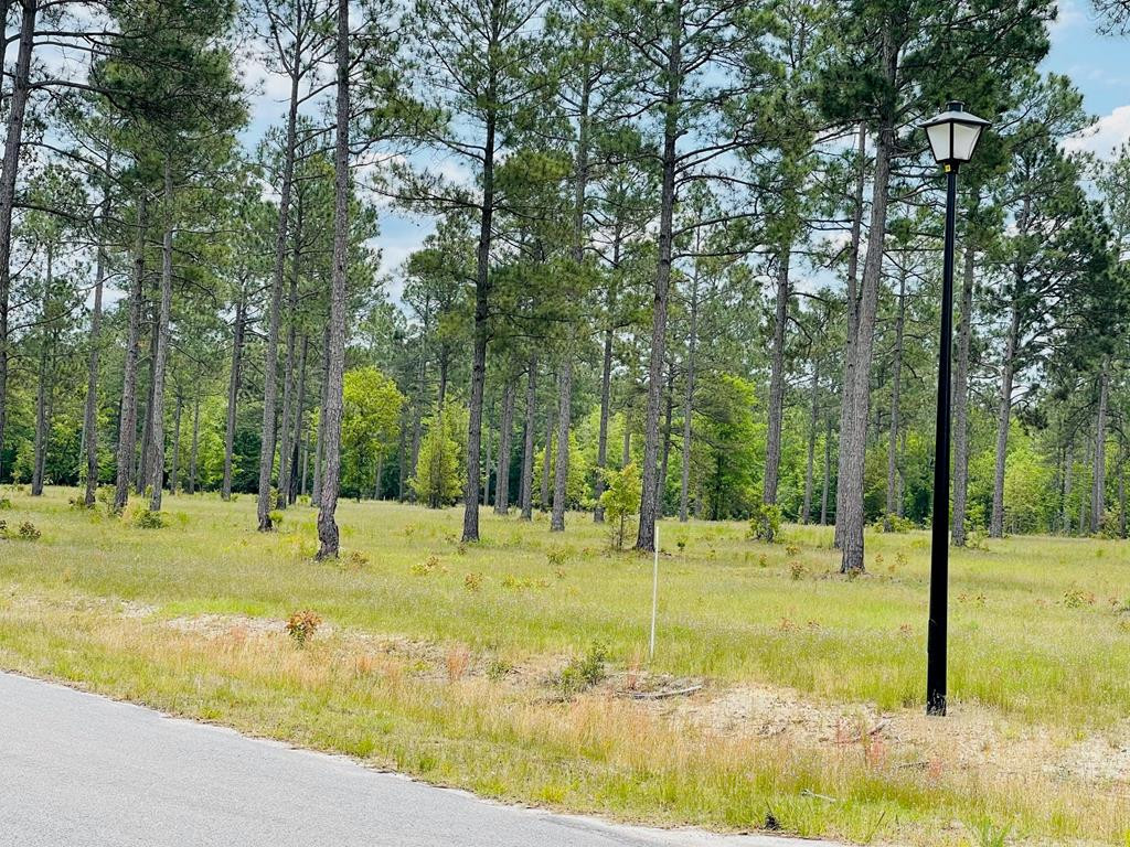 Lot 19-ph7 Lot 19-ph7 Rembert Place Aiken, SC 29803 - Photo 1 of 5