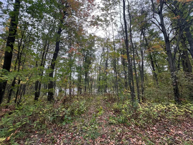 $199,900 | Tbd Red Oak Drive, Garrison, MN 56450