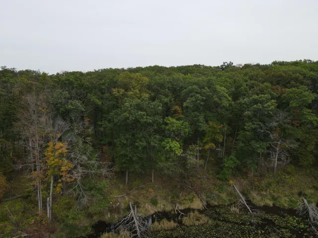 $199,900 | Tbd Red Oak Drive, Garrison, MN 56450