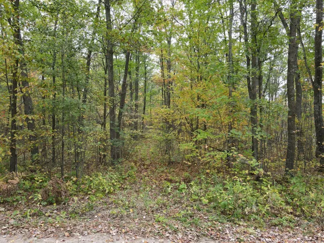 $199,900 | Tbd Red Oak Drive, Garrison, MN 56450