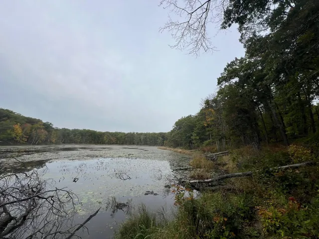 $199,900 | Tbd Red Oak Drive, Garrison, MN 56450