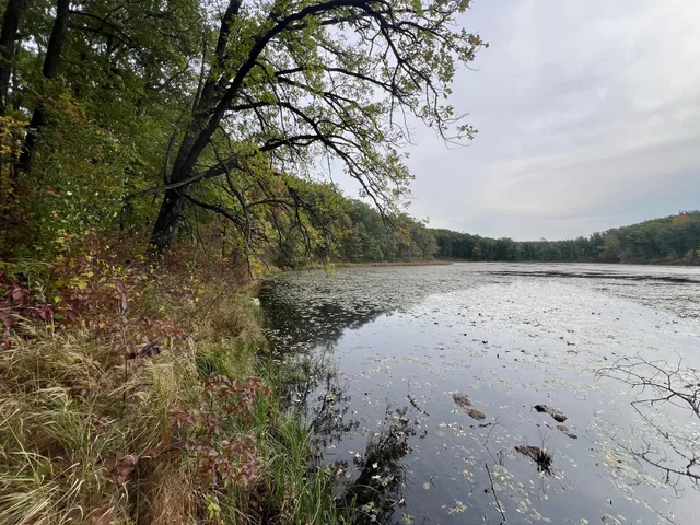 $199,900 | Tbd Red Oak Drive, Garrison, MN 56450