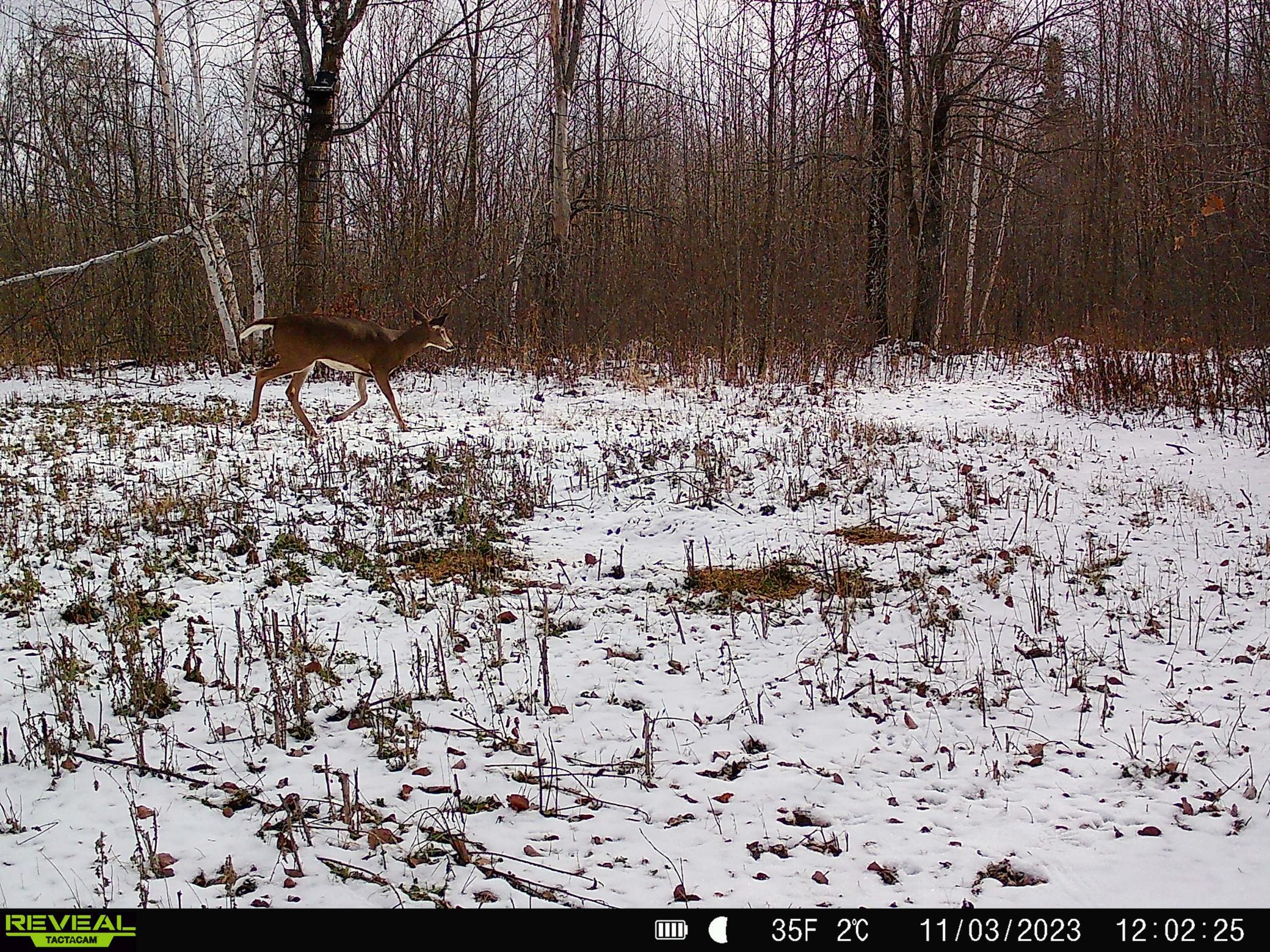 38953 Ada Beach Road Ponsford, MN 56575 - Photo 83 of 94