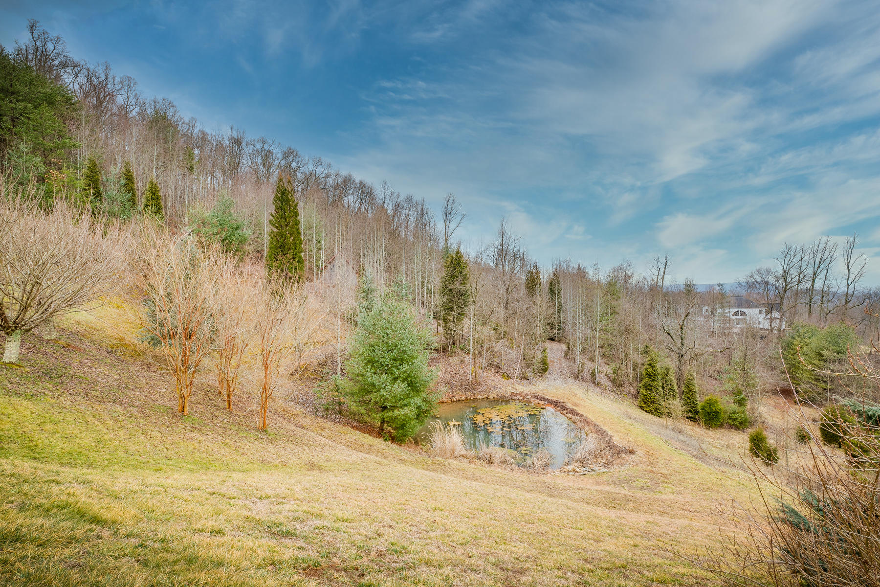 115 Coventry Wynde Road Kingsport, TN 37664 - Photo 143 of 166 Conventry Wynd pic 143