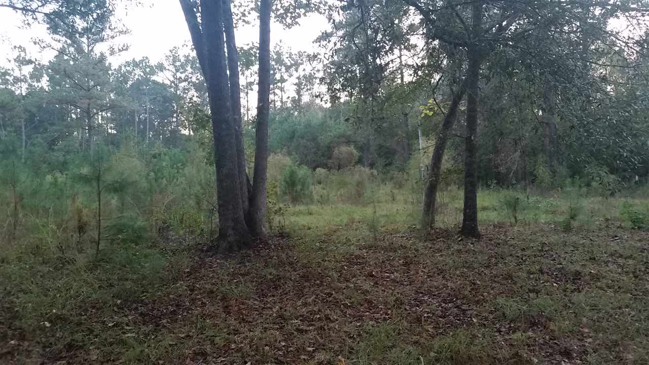 685 Gibson Road Havana, FL 32333 - Photo 3 of 11 Gallery Image 3