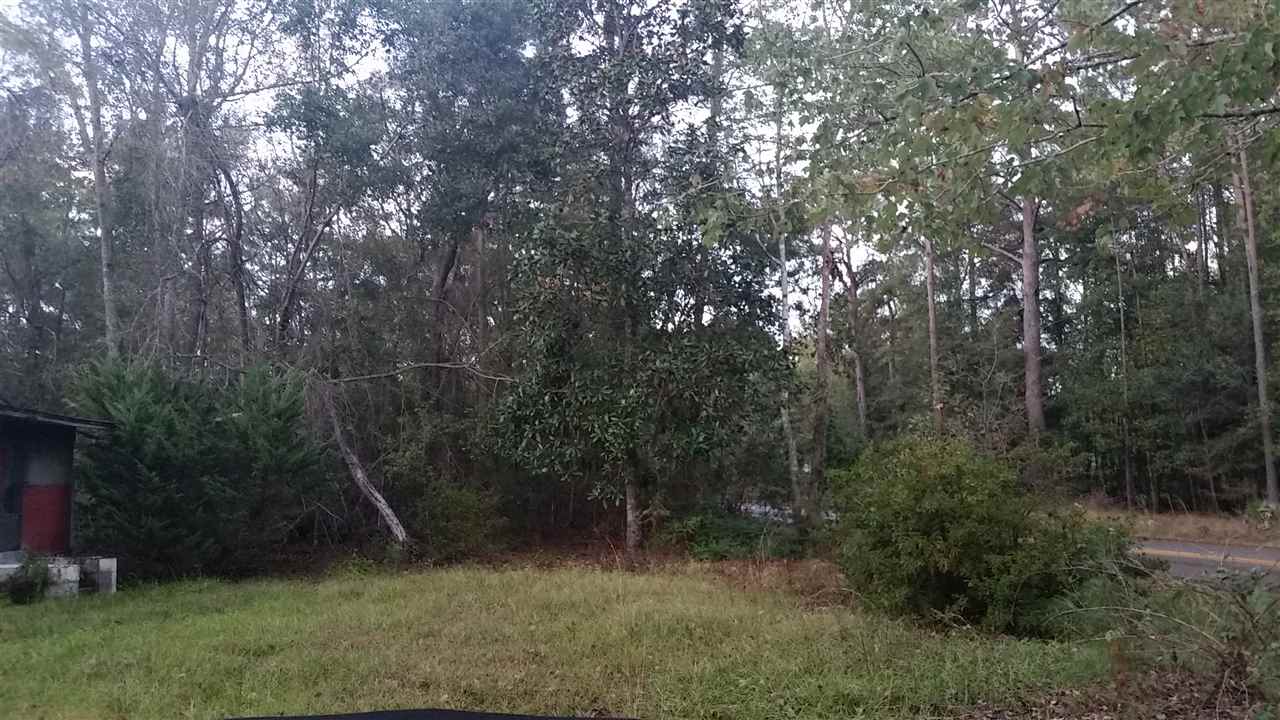 685 Gibson Road Havana, FL 32333 - Photo 4 of 11 Gallery Image 4
