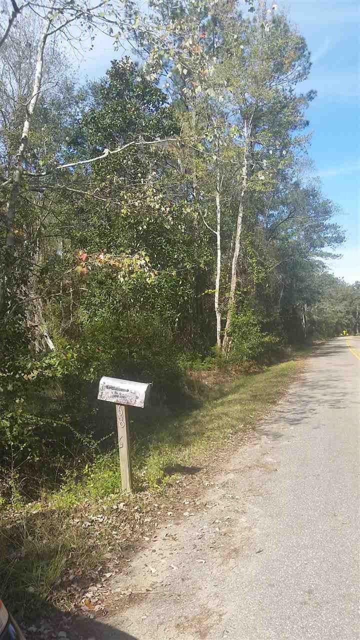 685 Gibson Road Havana, FL 32333 - Photo 7 of 11 Gallery Image 7