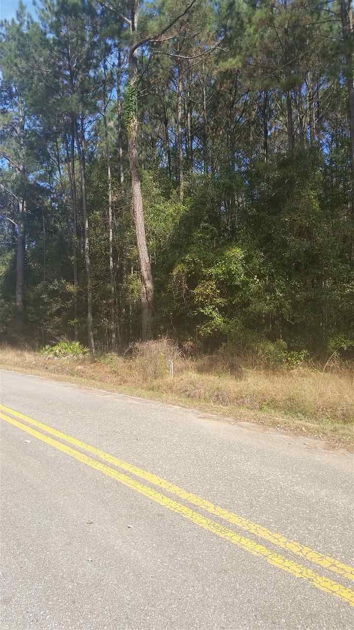 685 Gibson Road Havana, FL 32333 - Photo 8 of 11 Gallery Image 8