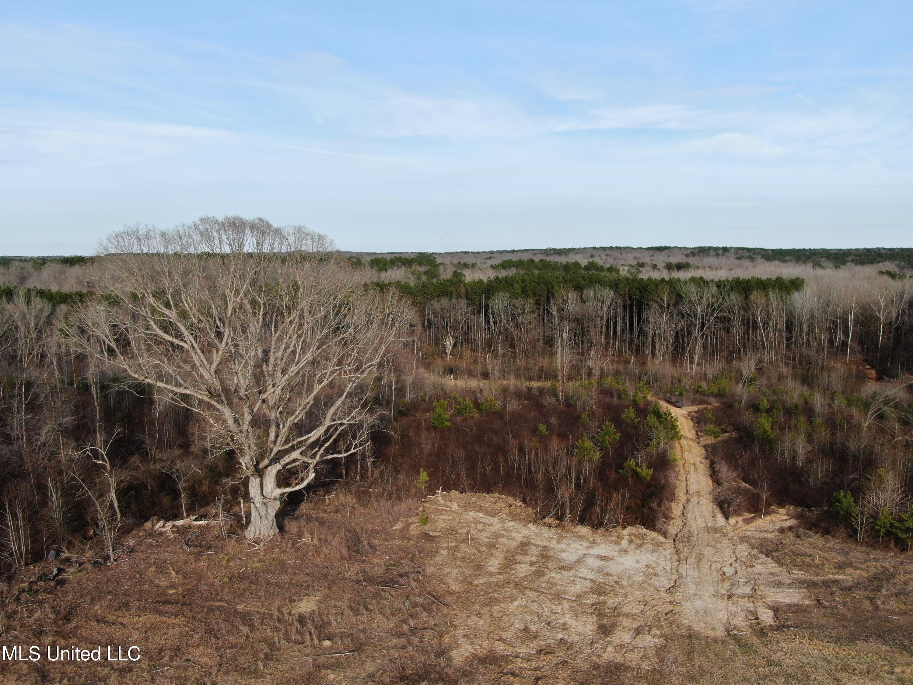 160 Simon Chapel Road Como, MS 38619 - Photo 15 of 94 DJI_0441