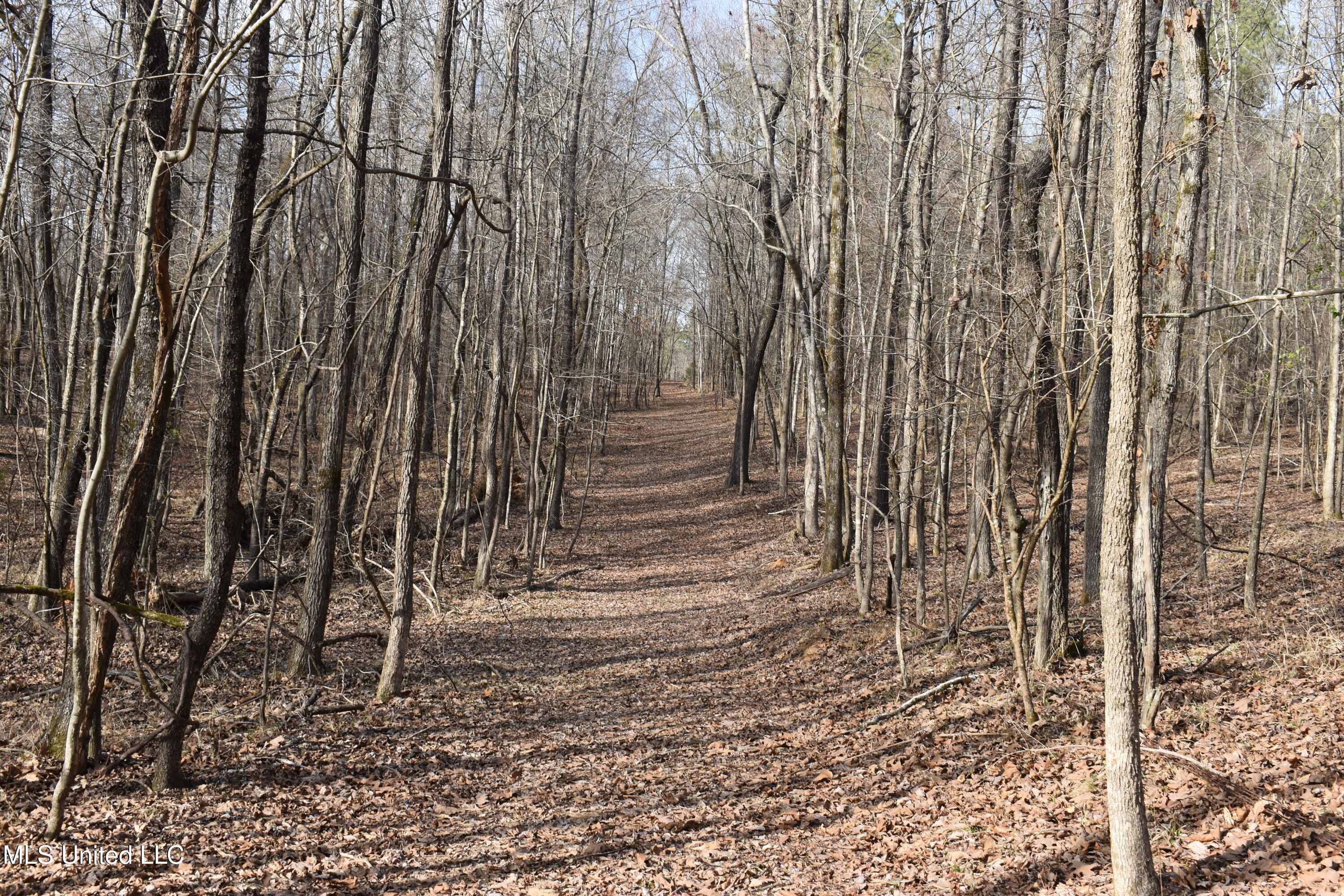 160 Simon Chapel Road Como, MS 38619 - Photo 16 of 94 DSC_0227