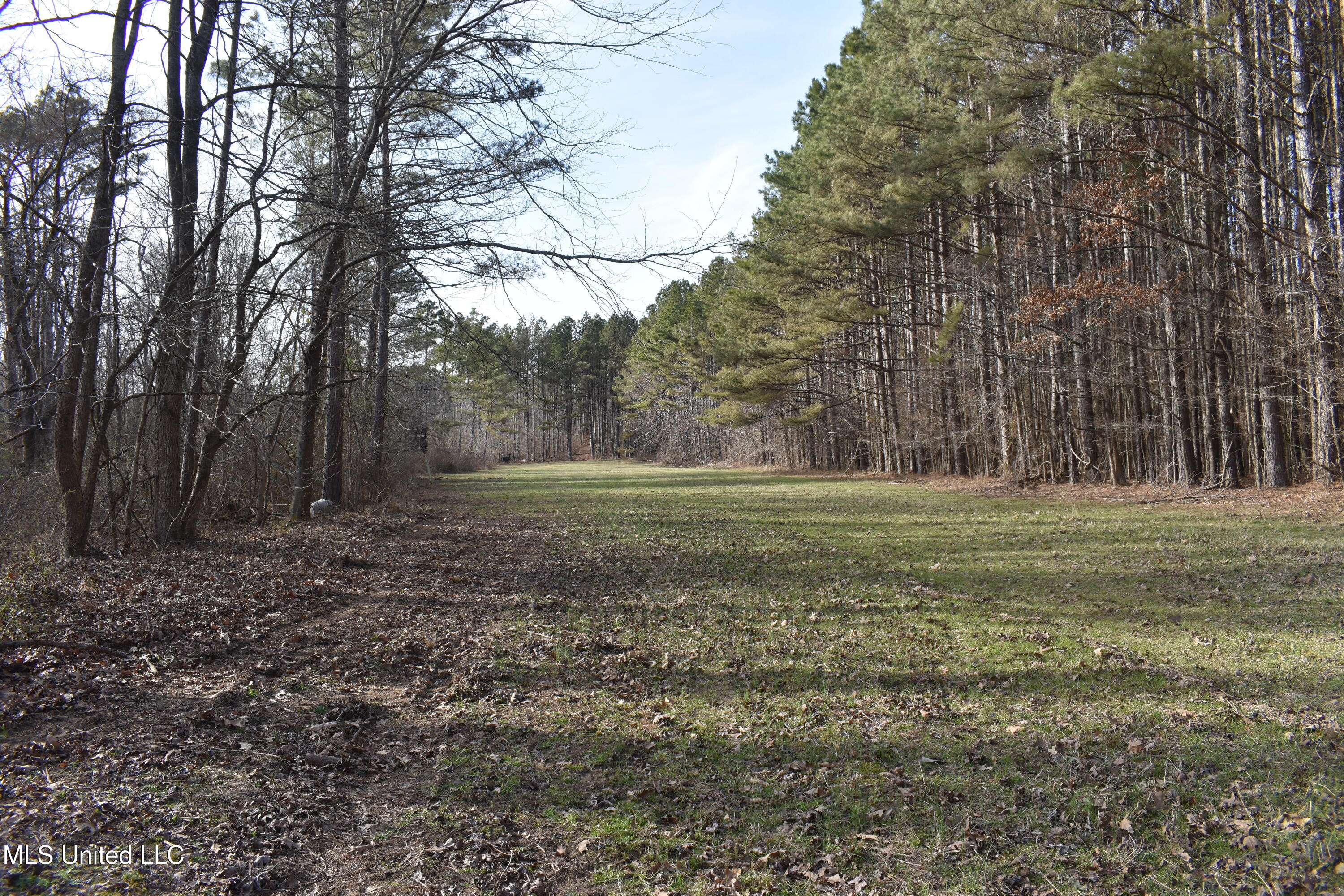 160 Simon Chapel Road Como, MS 38619 - Photo 17 of 94 DSC_0224