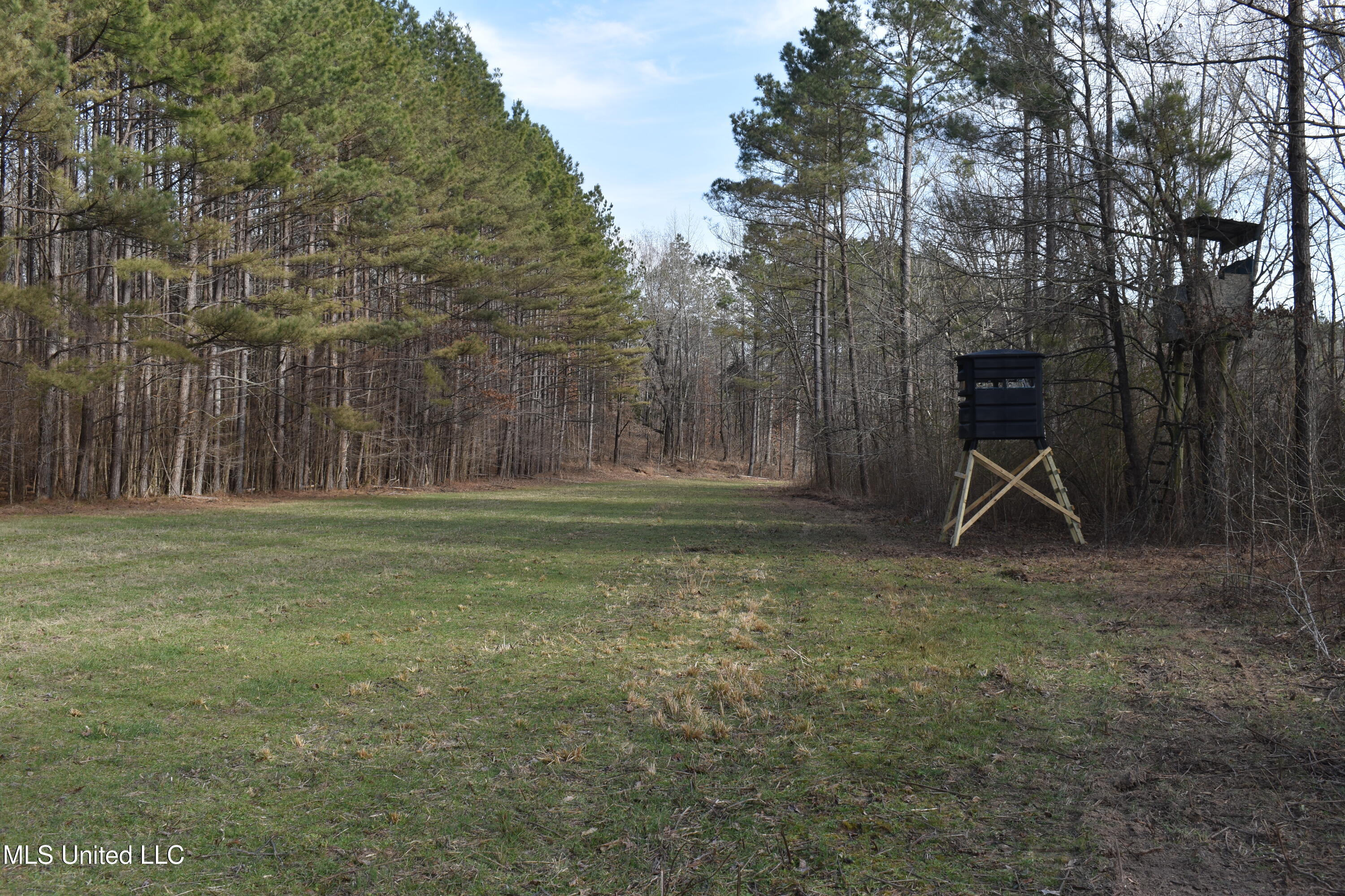 160 Simon Chapel Road Como, MS 38619 - Photo 18 of 94 DSC_0223