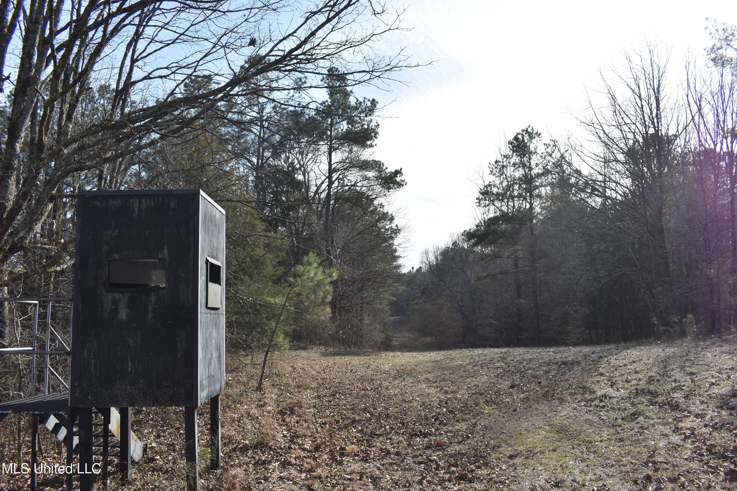 160 Simon Chapel Road Como, MS 38619 - Photo 19 of 94 DSC_0181