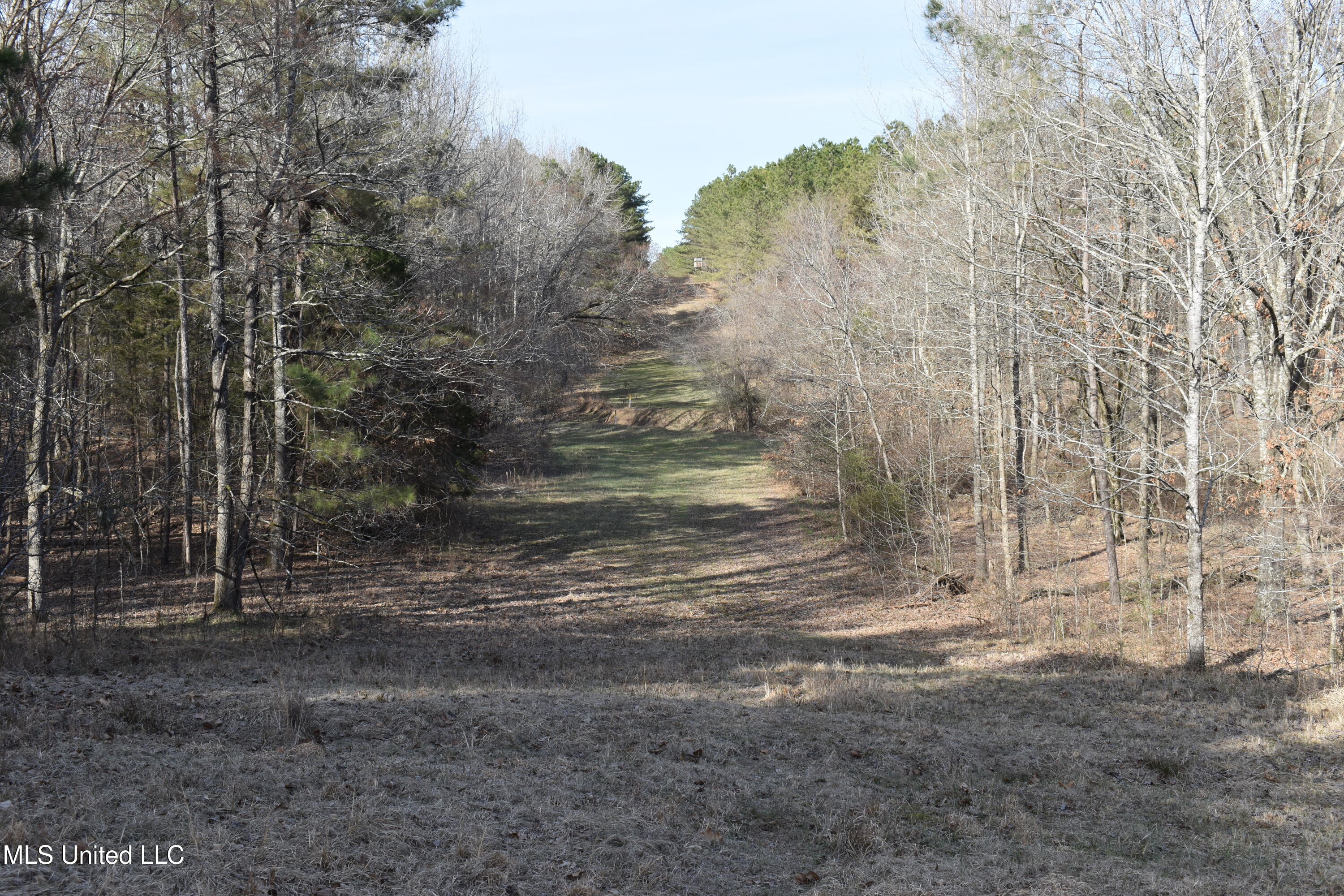 160 Simon Chapel Road Como, MS 38619 - Photo 20 of 94 DSC_0180