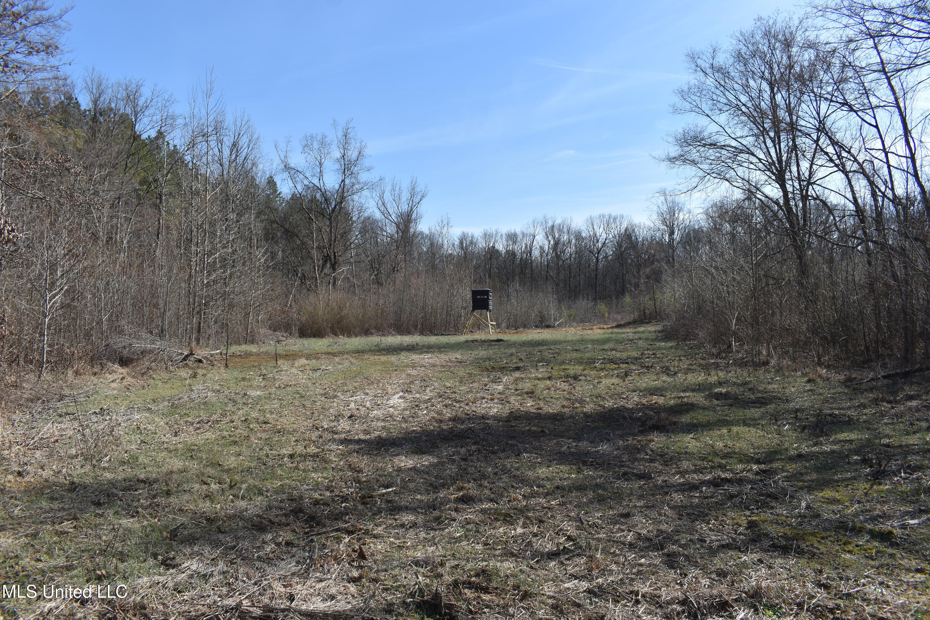 160 Simon Chapel Road Como, MS 38619 - Photo 21 of 94 DSC_0160
