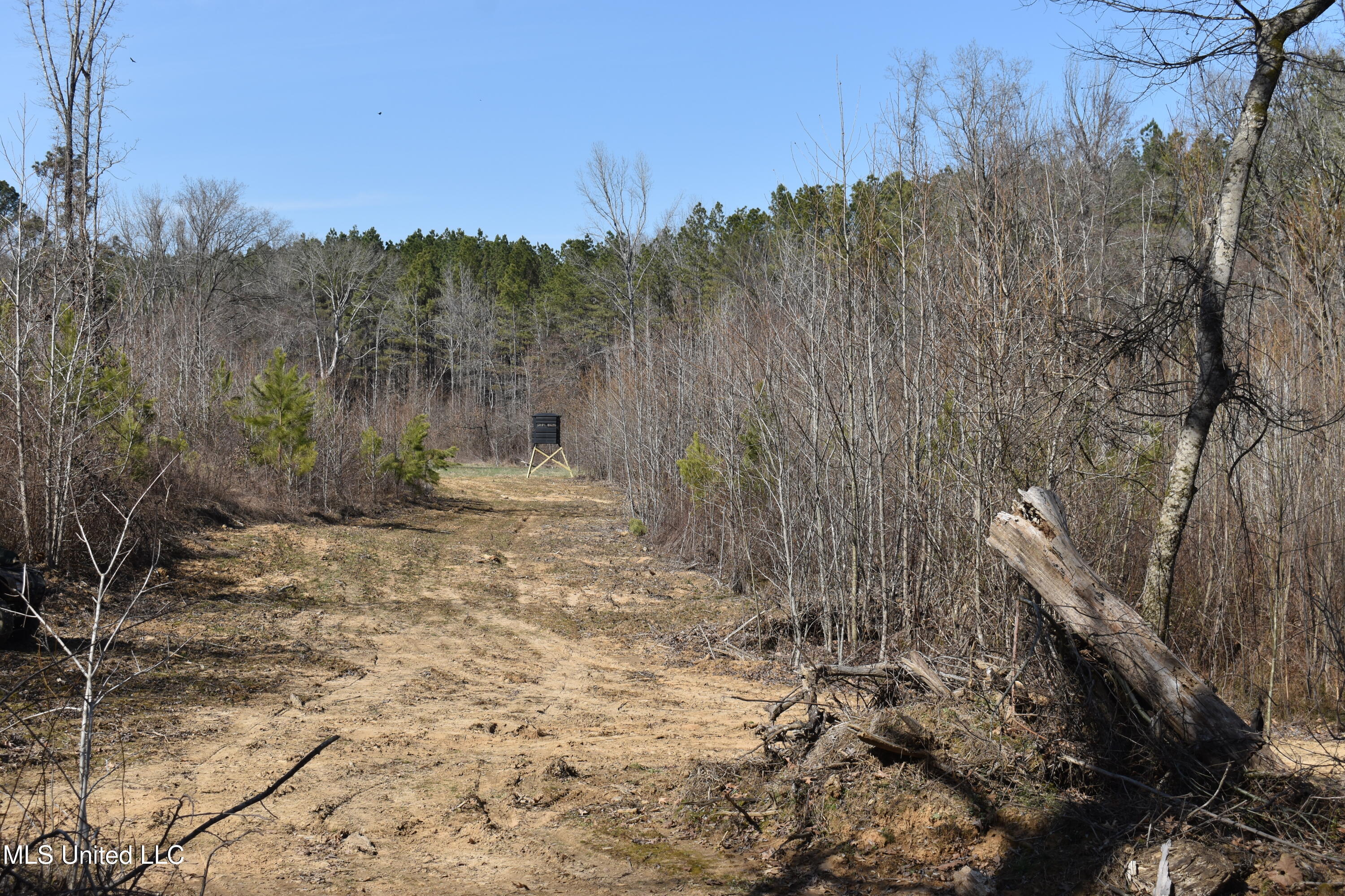160 Simon Chapel Road Como, MS 38619 - Photo 22 of 94 DSC_0157