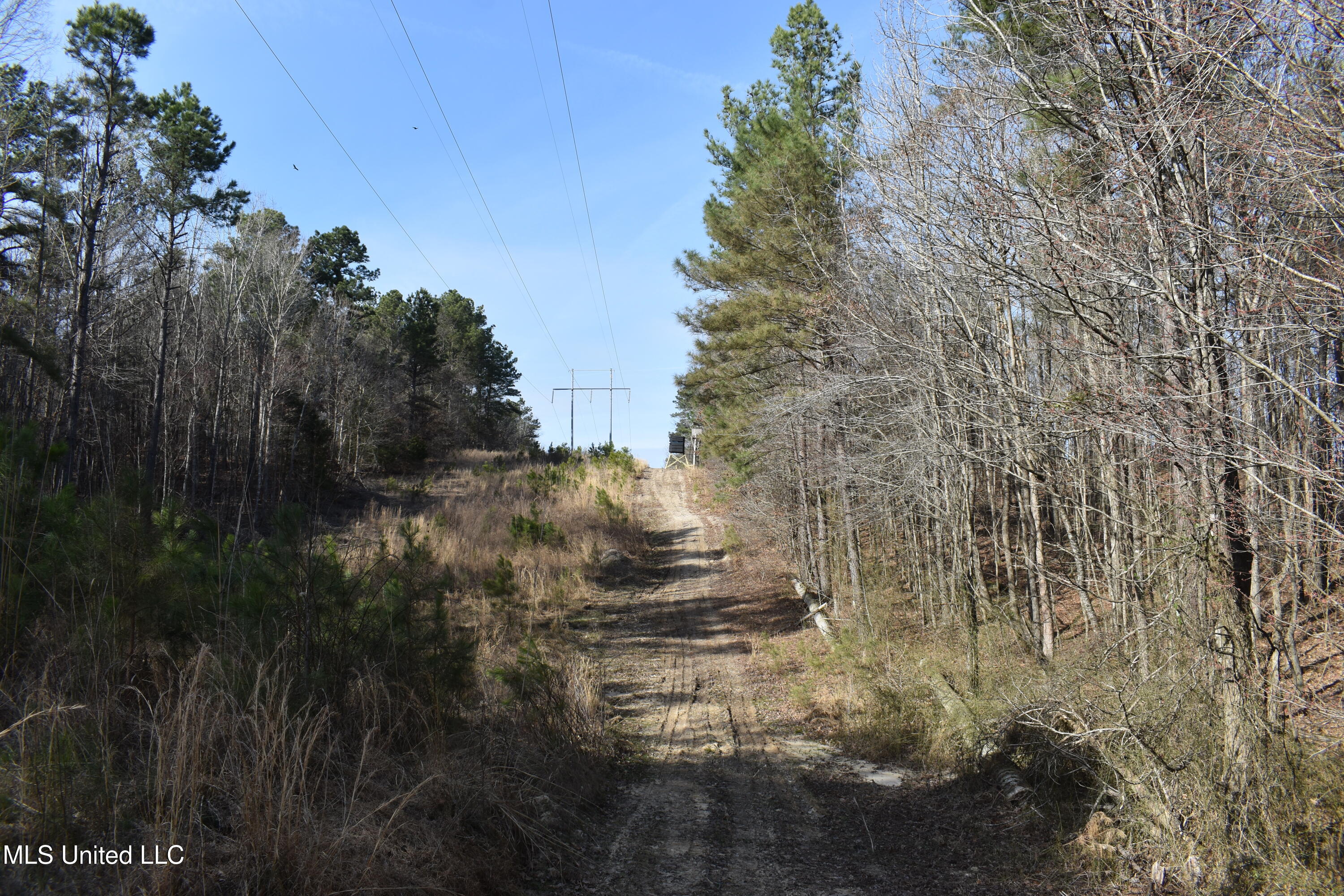 160 Simon Chapel Road Como, MS 38619 - Photo 23 of 94 DSC_0175