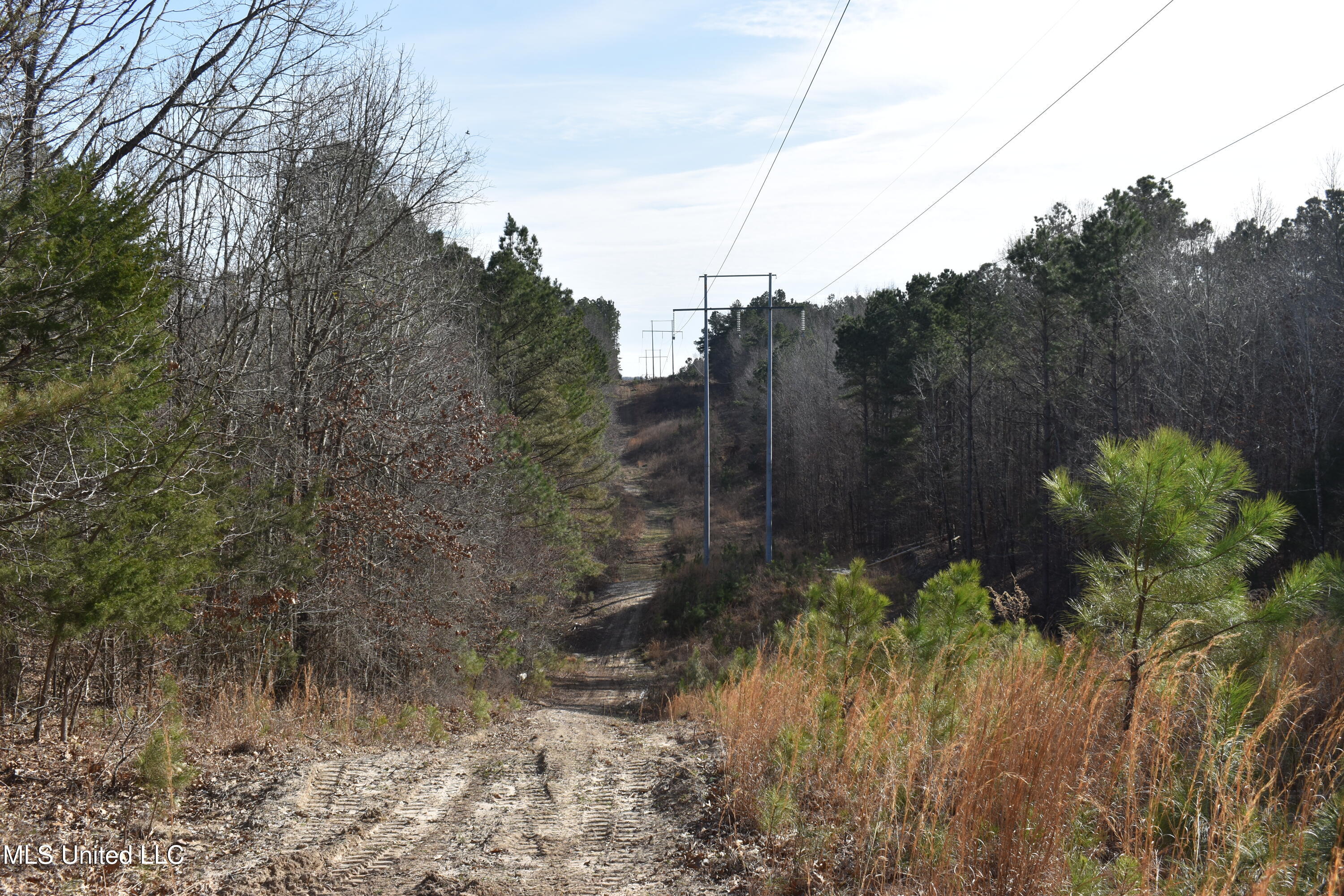 160 Simon Chapel Road Como, MS 38619 - Photo 24 of 94 DSC_0176