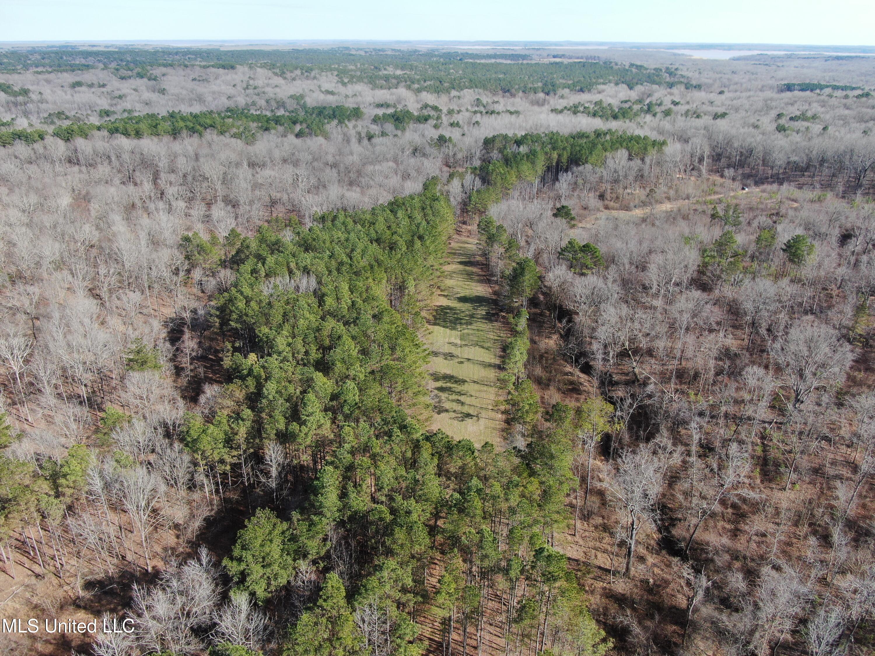 160 Simon Chapel Road Como, MS 38619 - Photo 25 of 94 DJI_0436