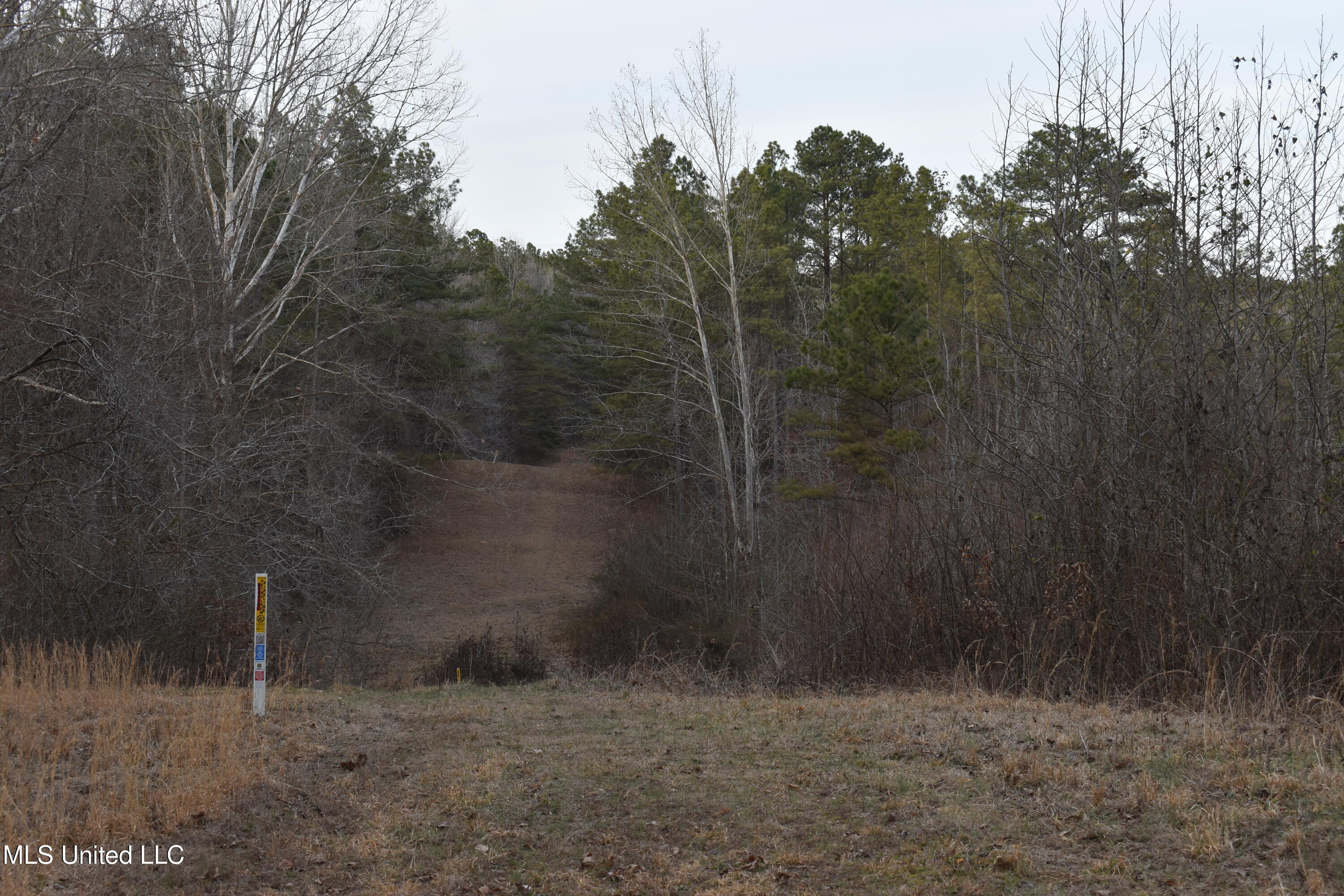 160 Simon Chapel Road Como, MS 38619 - Photo 28 of 94 DSC_0248