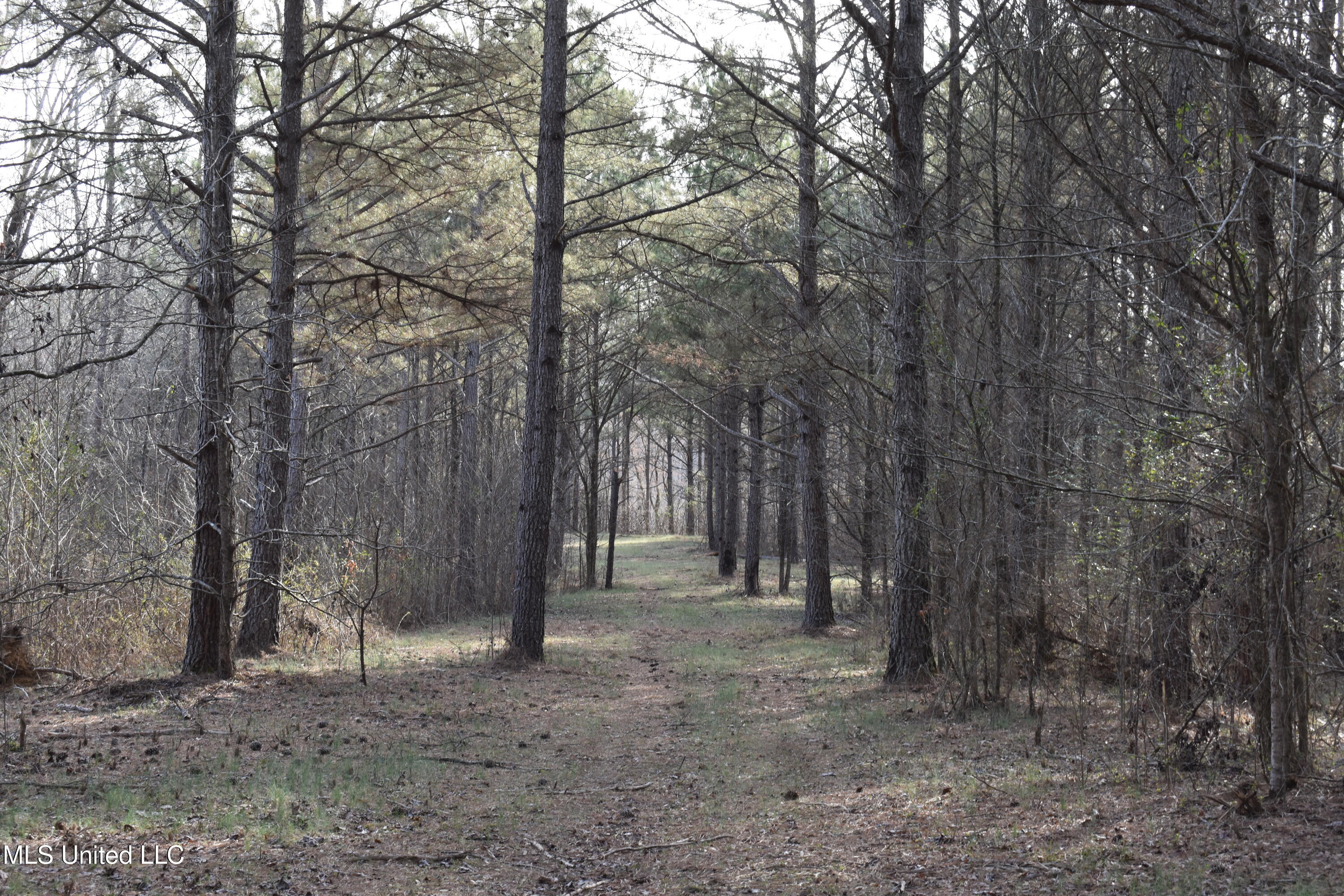 160 Simon Chapel Road Como, MS 38619 - Photo 29 of 94 DSC_0218