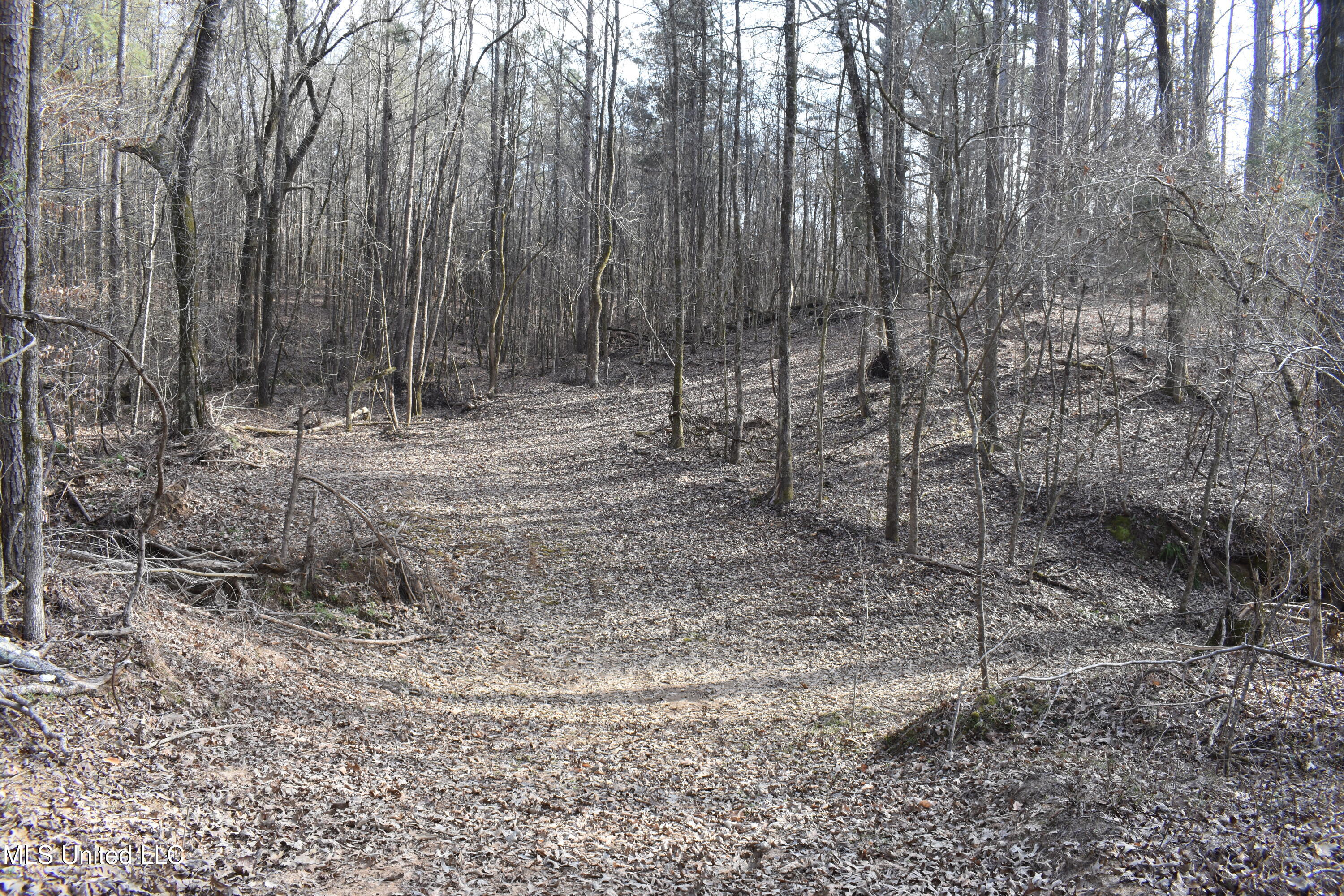 160 Simon Chapel Road Como, MS 38619 - Photo 30 of 94 DSC_0209