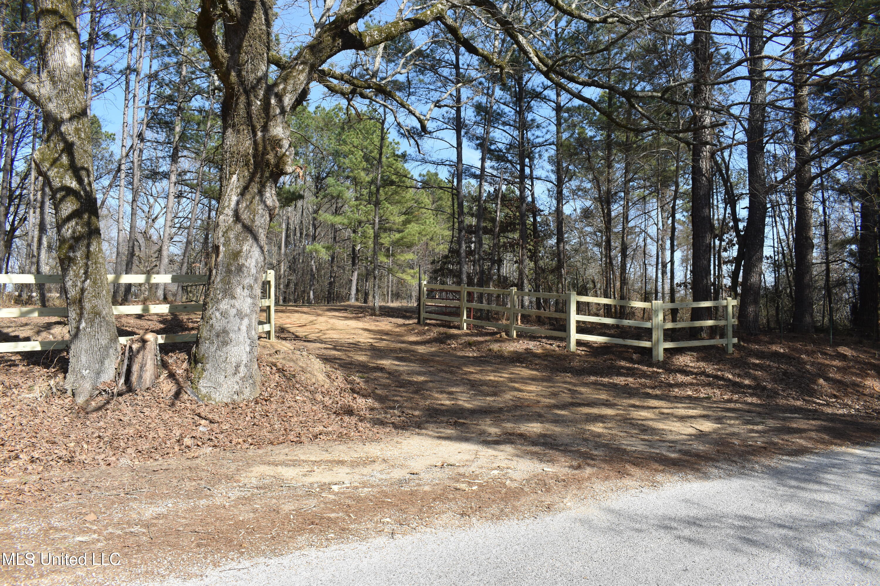 160 Simon Chapel Road Como, MS 38619 - Photo 3 of 94 DSC_0169