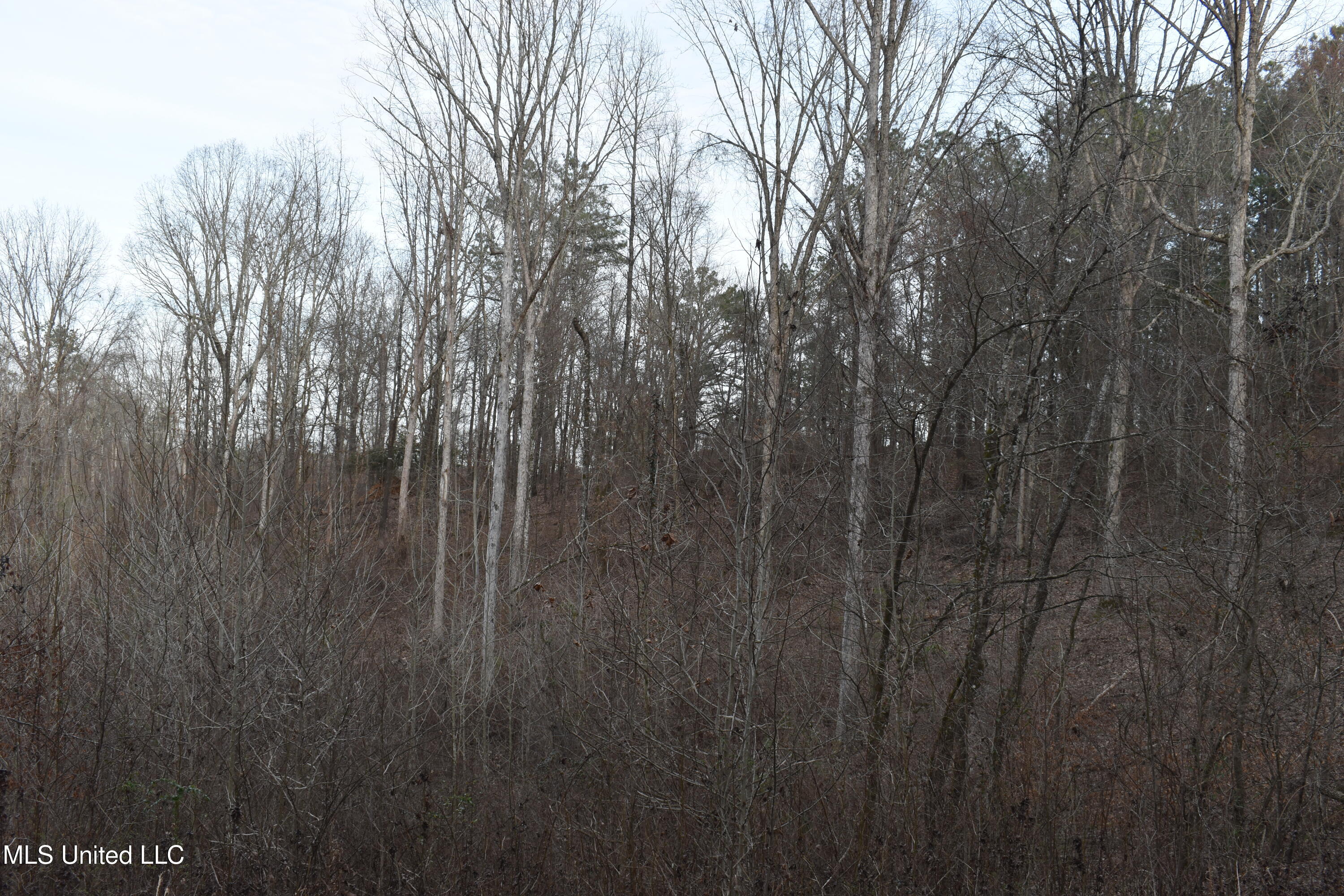 160 Simon Chapel Road Como, MS 38619 - Photo 31 of 94 DSC_0246