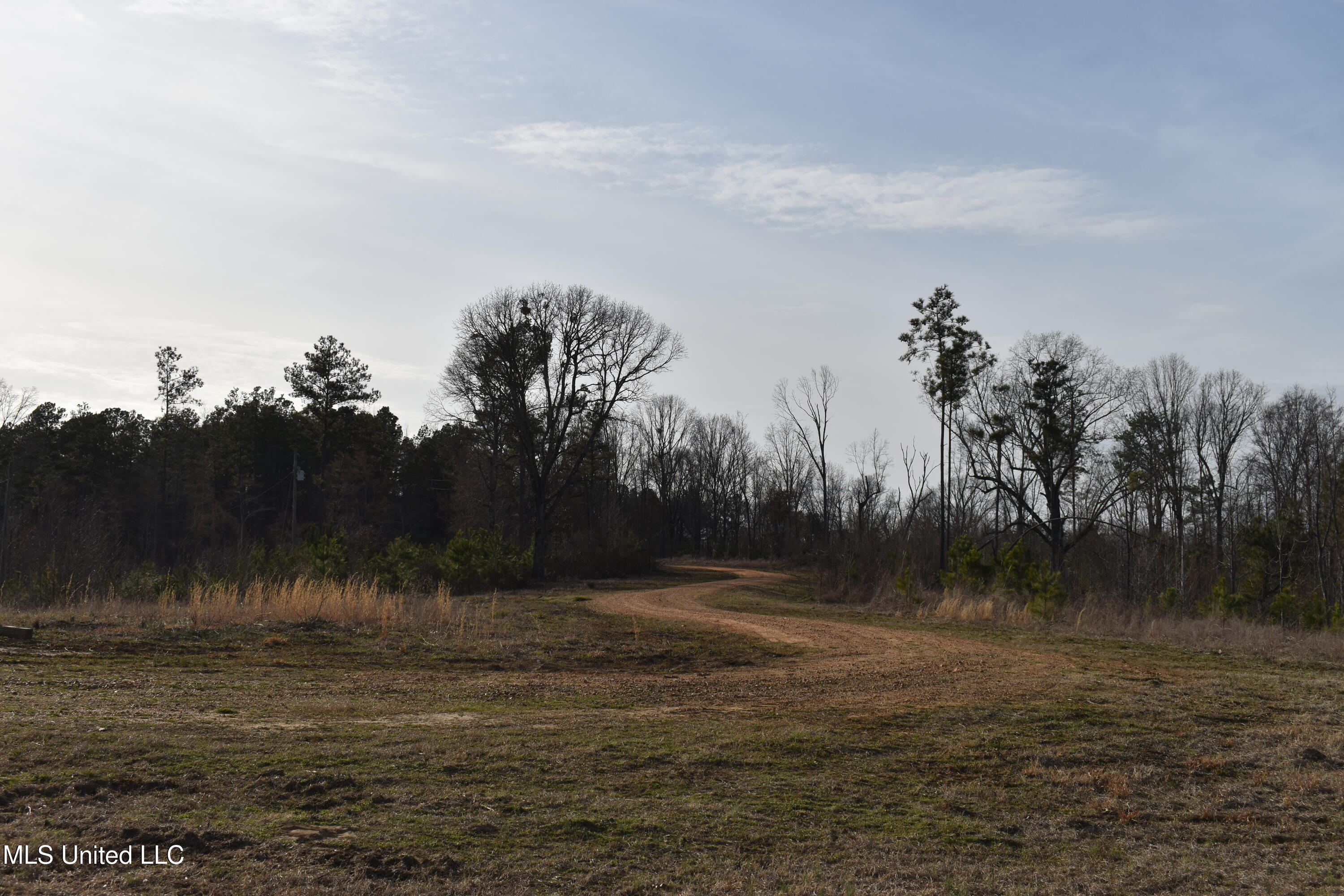 160 Simon Chapel Road Como, MS 38619 - Photo 32 of 94 DSC_0236