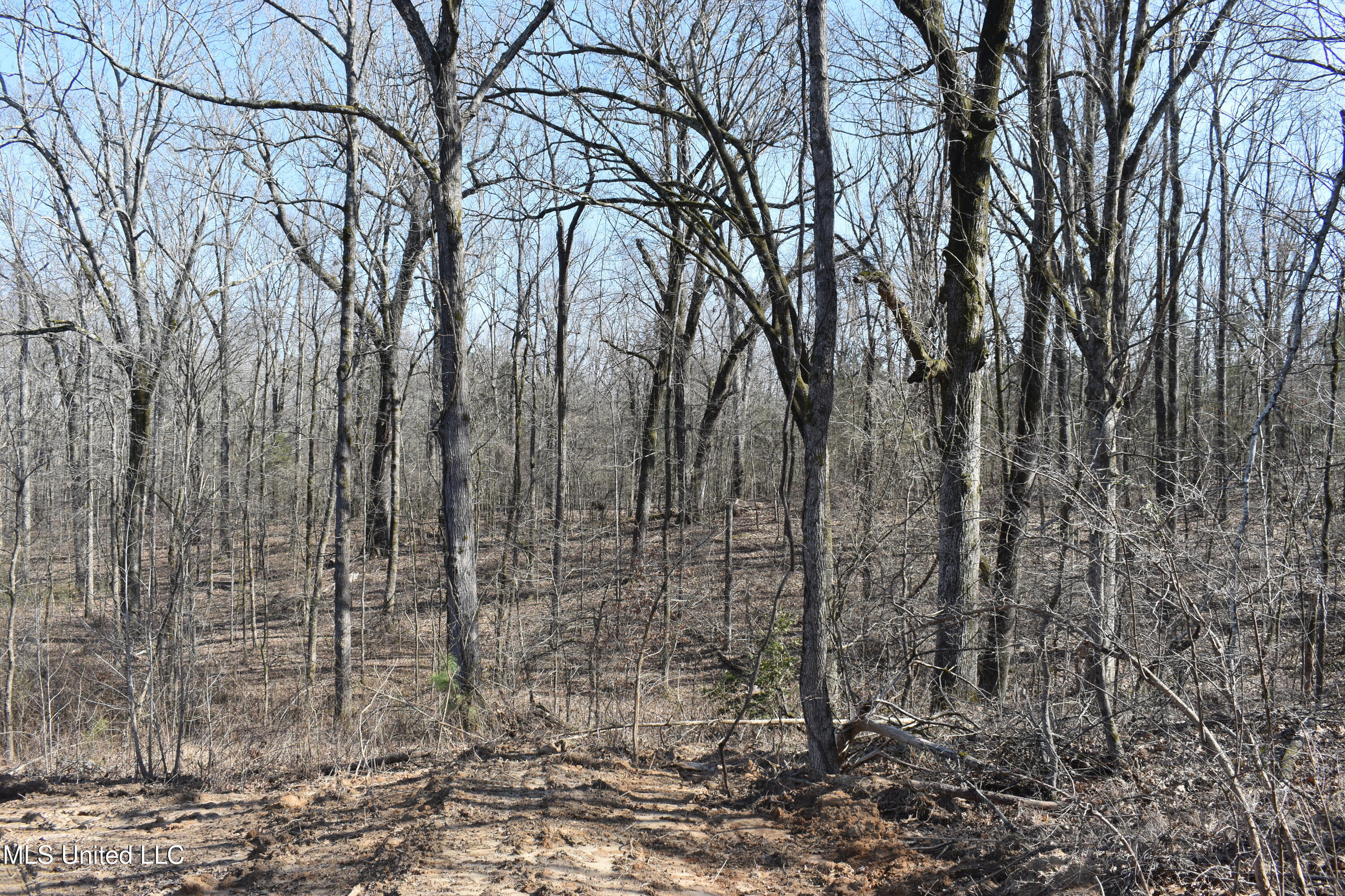 160 Simon Chapel Road Como, MS 38619 - Photo 33 of 94 DSC_0155