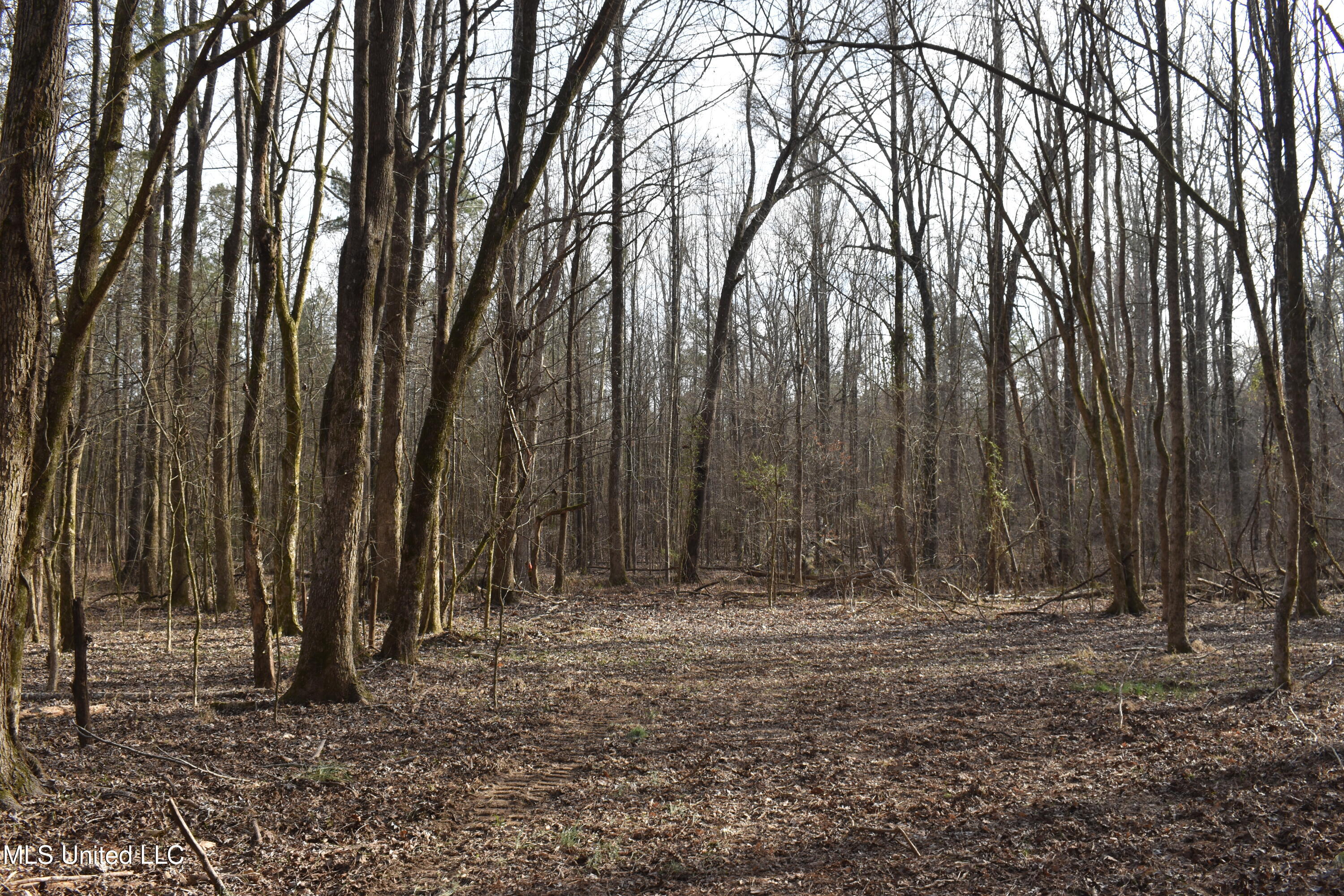 160 Simon Chapel Road Como, MS 38619 - Photo 37 of 94 DSC_0230