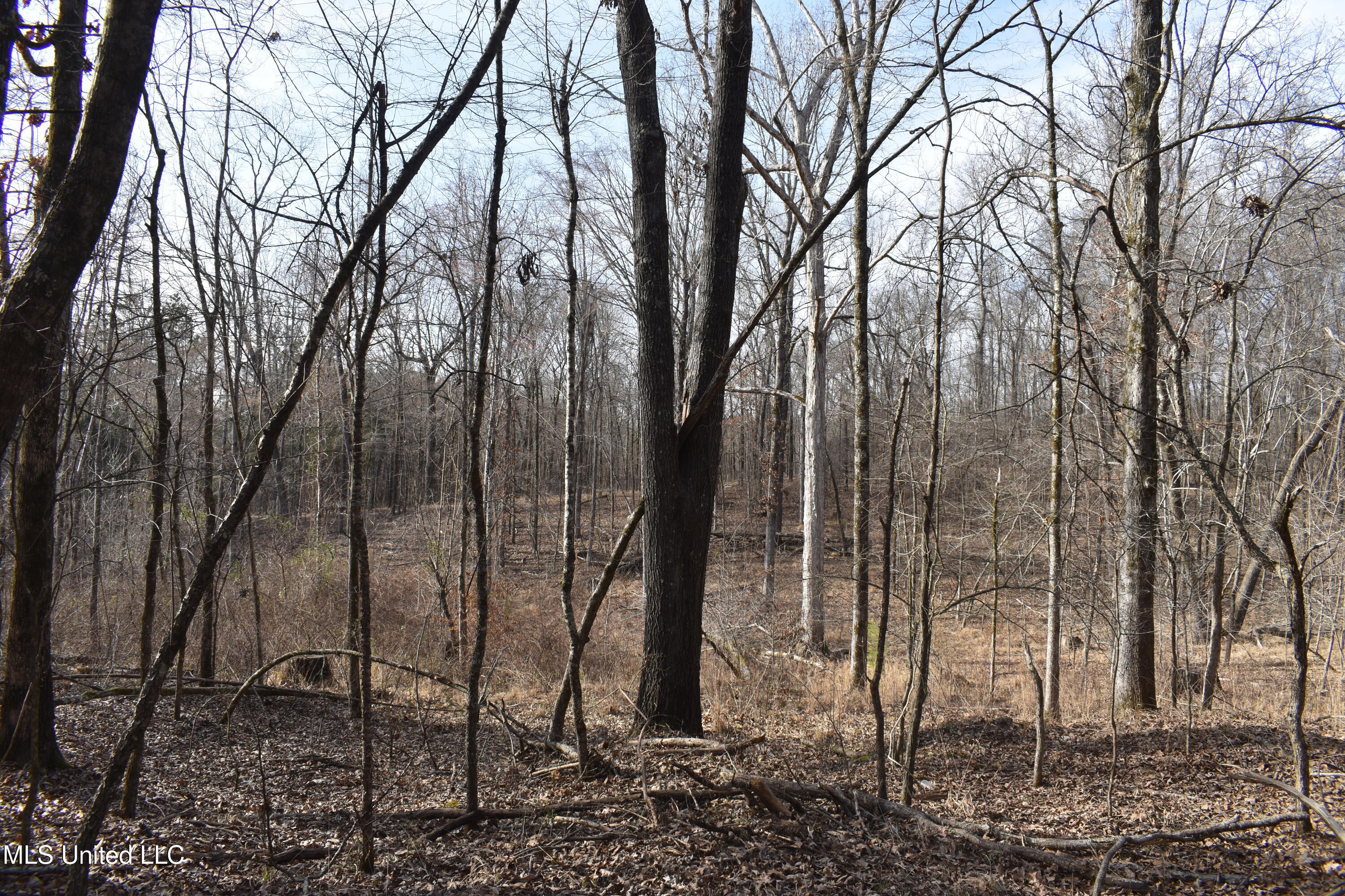 160 Simon Chapel Road Como, MS 38619 - Photo 38 of 94 DSC_0226