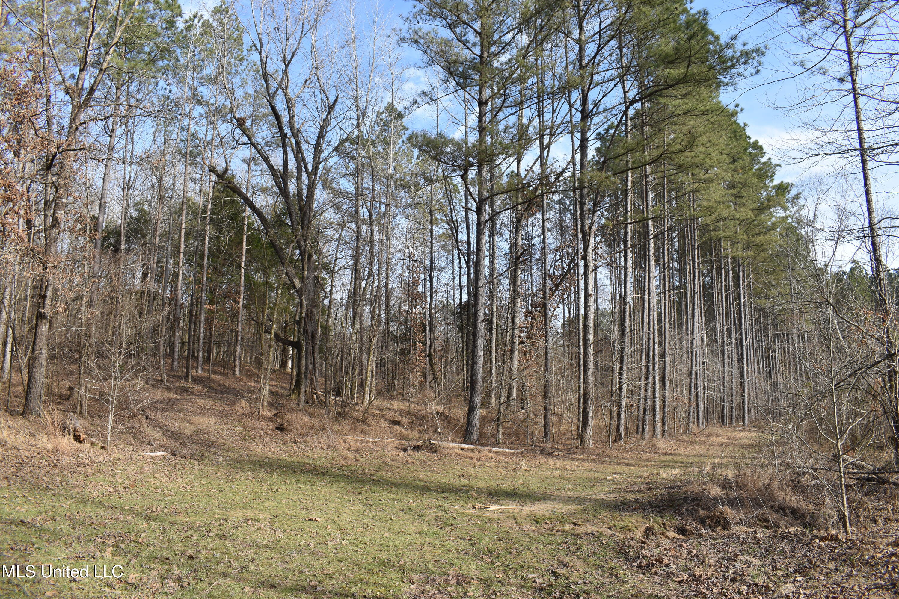 160 Simon Chapel Road Como, MS 38619 - Photo 39 of 94 DSC_0225