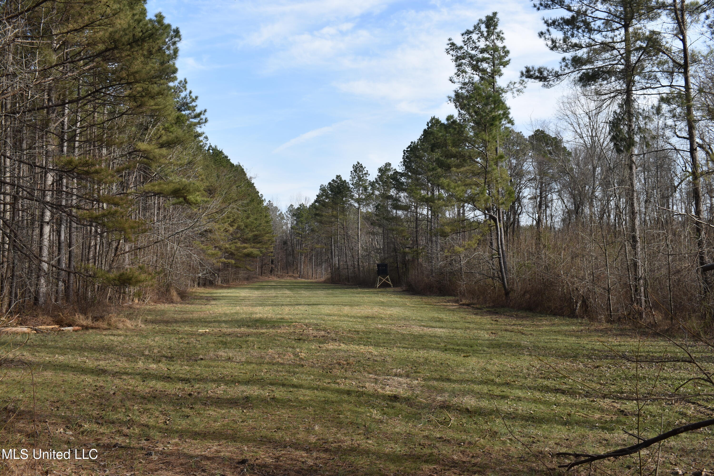 160 Simon Chapel Road Como, MS 38619 - Photo 40 of 94 DSC_0221