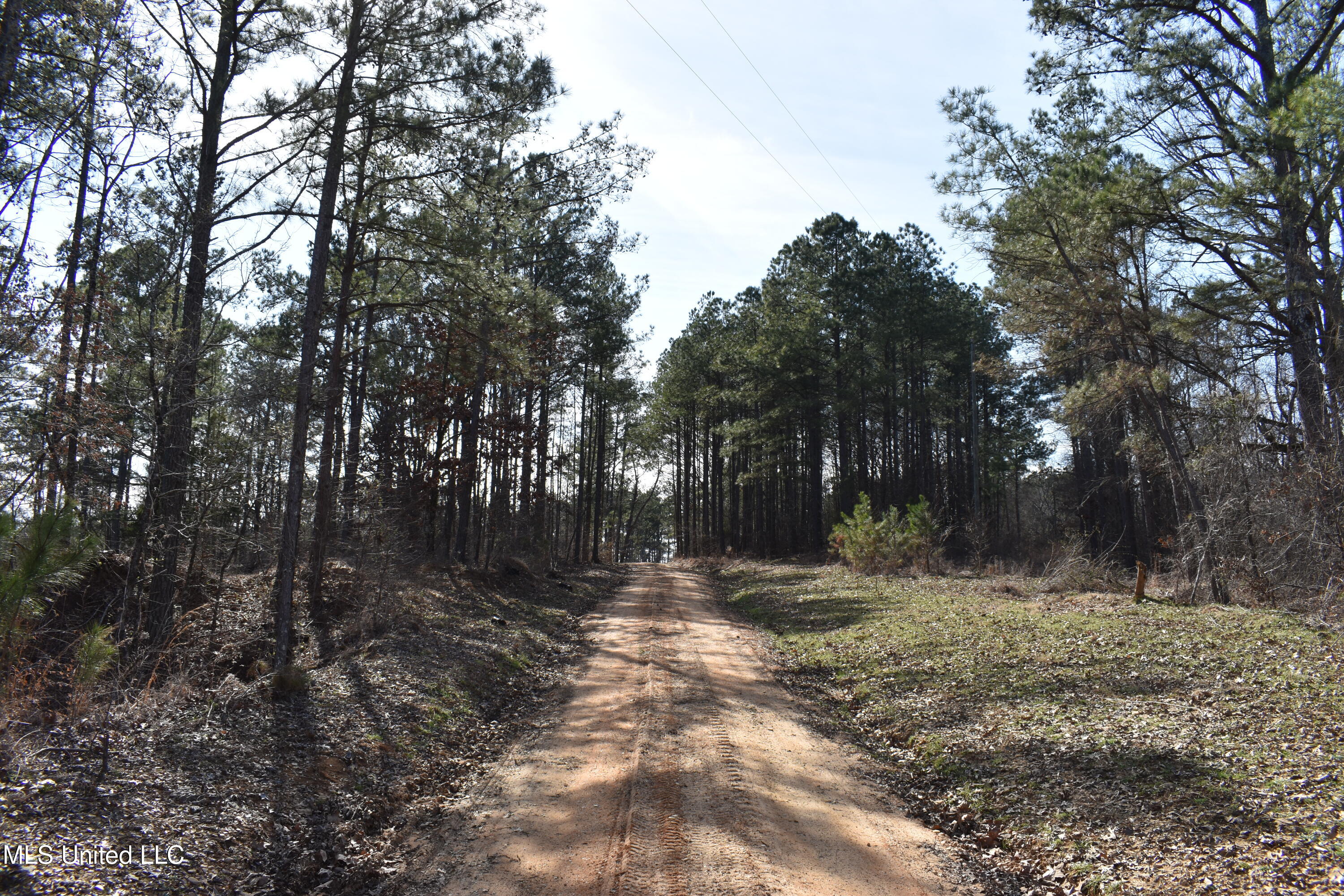 160 Simon Chapel Road Como, MS 38619 - Photo 4 of 94 DSC_0167
