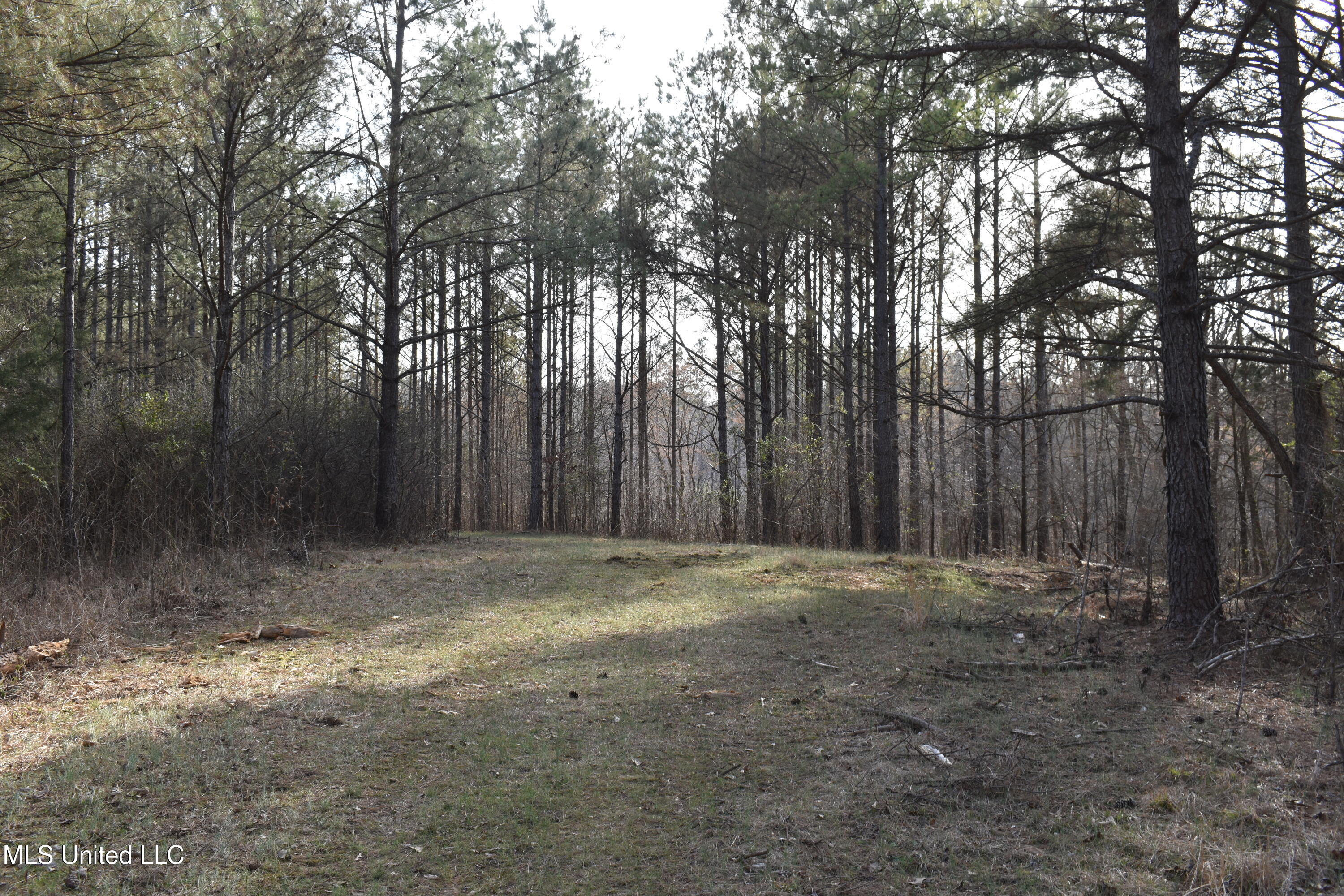 160 Simon Chapel Road Como, MS 38619 - Photo 42 of 94 DSC_0219