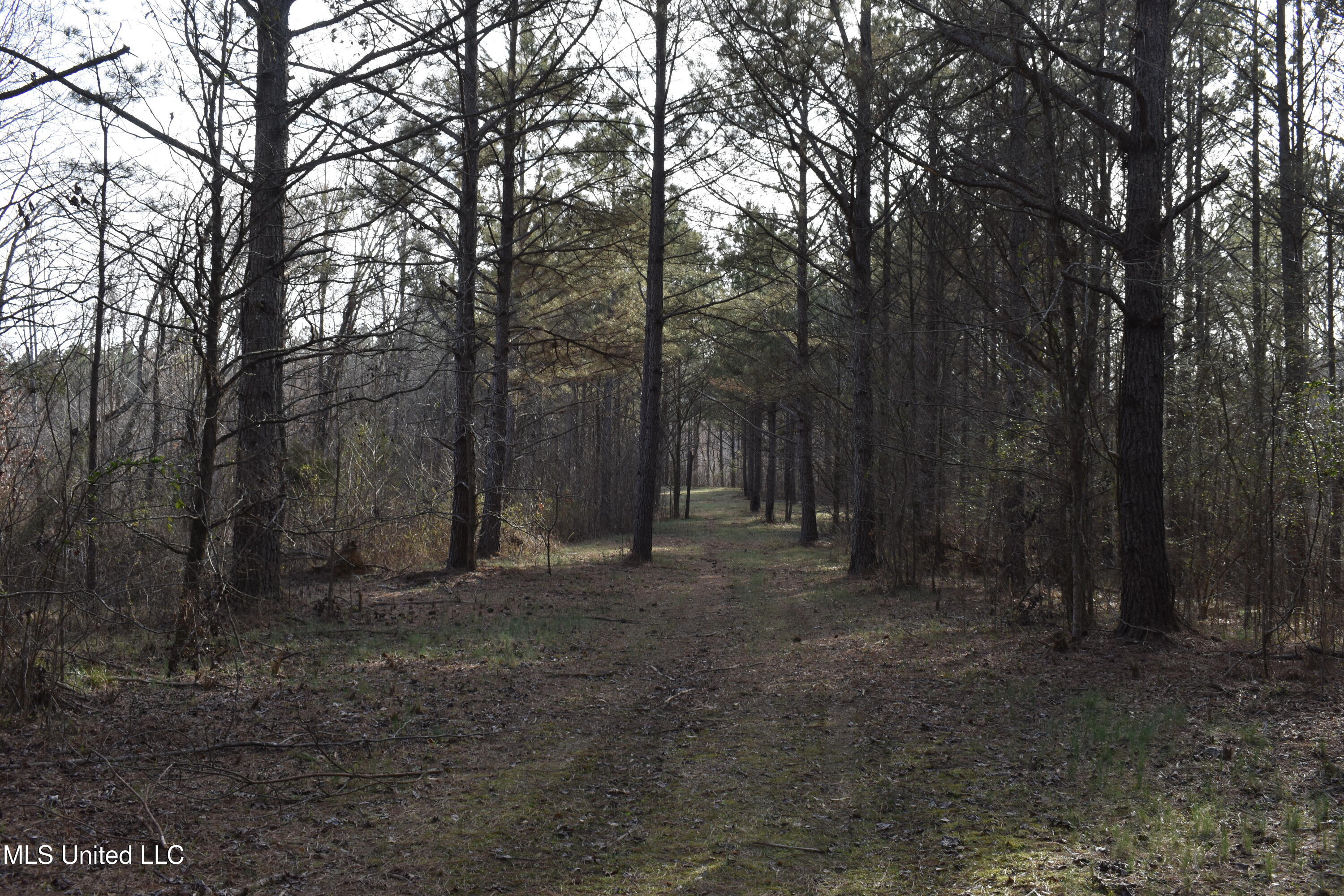 160 Simon Chapel Road Como, MS 38619 - Photo 43 of 94 DSC_0217