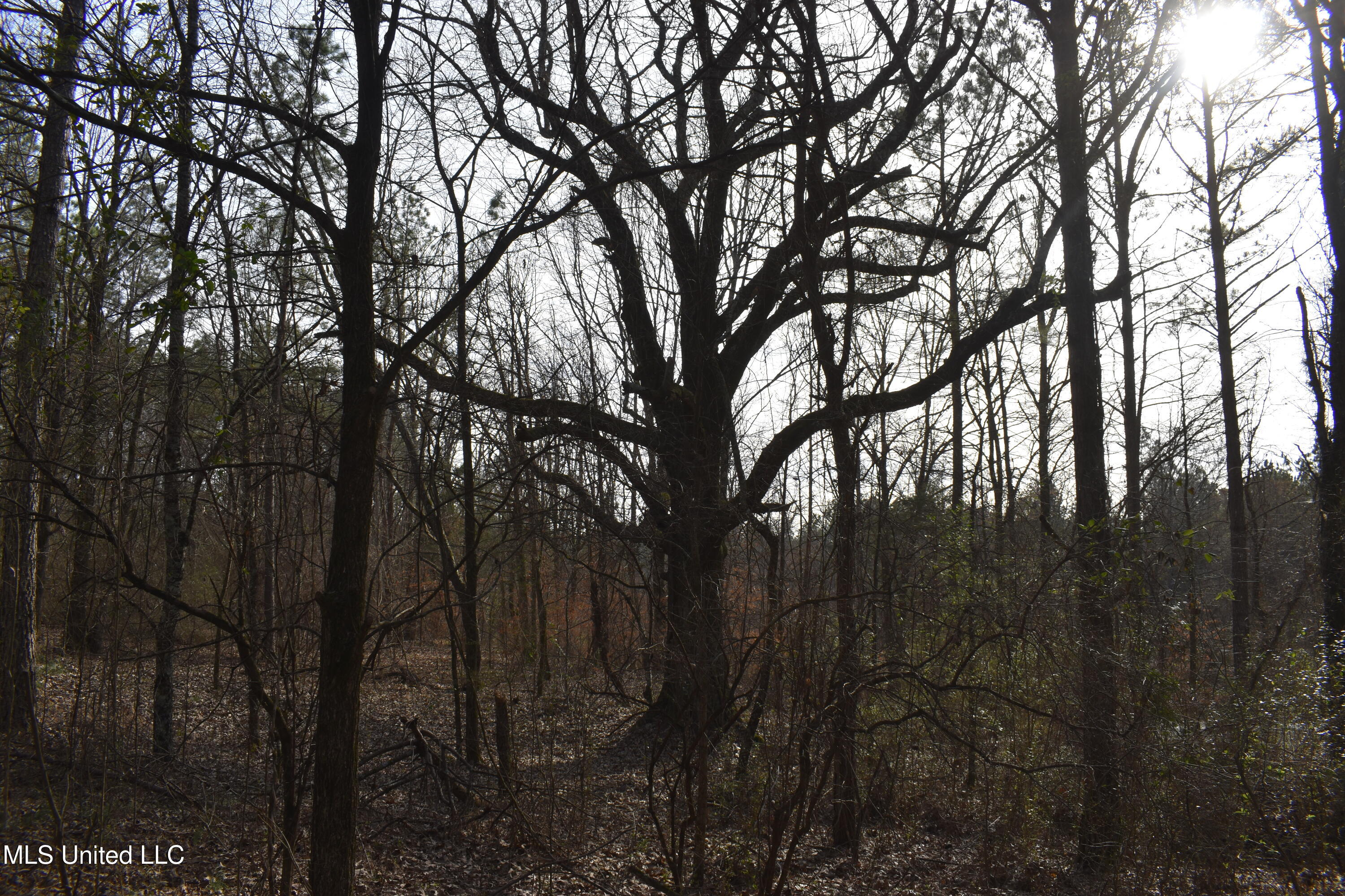 160 Simon Chapel Road Como, MS 38619 - Photo 44 of 94 DSC_0216