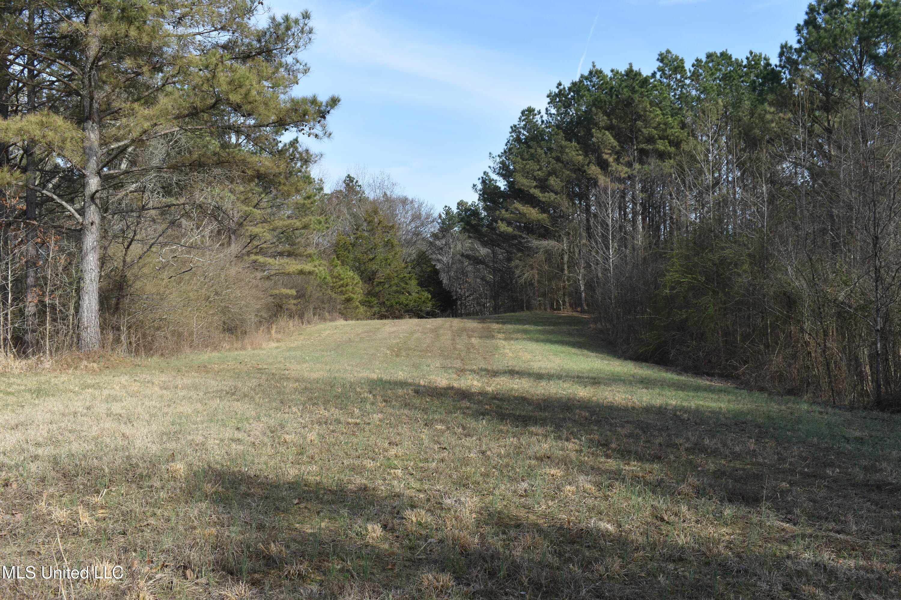 160 Simon Chapel Road Como, MS 38619 - Photo 45 of 94 DSC_0213