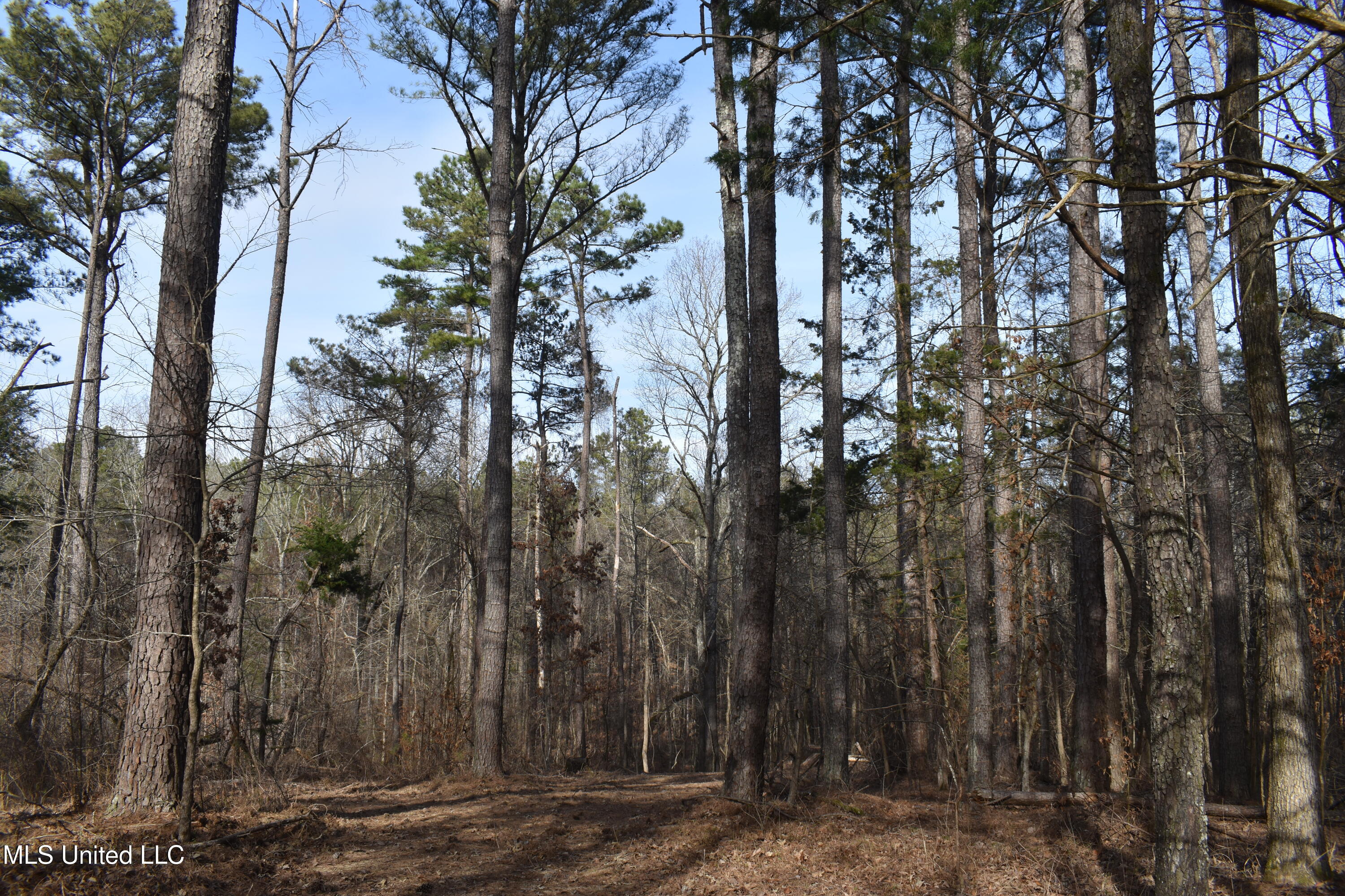 160 Simon Chapel Road Como, MS 38619 - Photo 47 of 94 DSC_0211