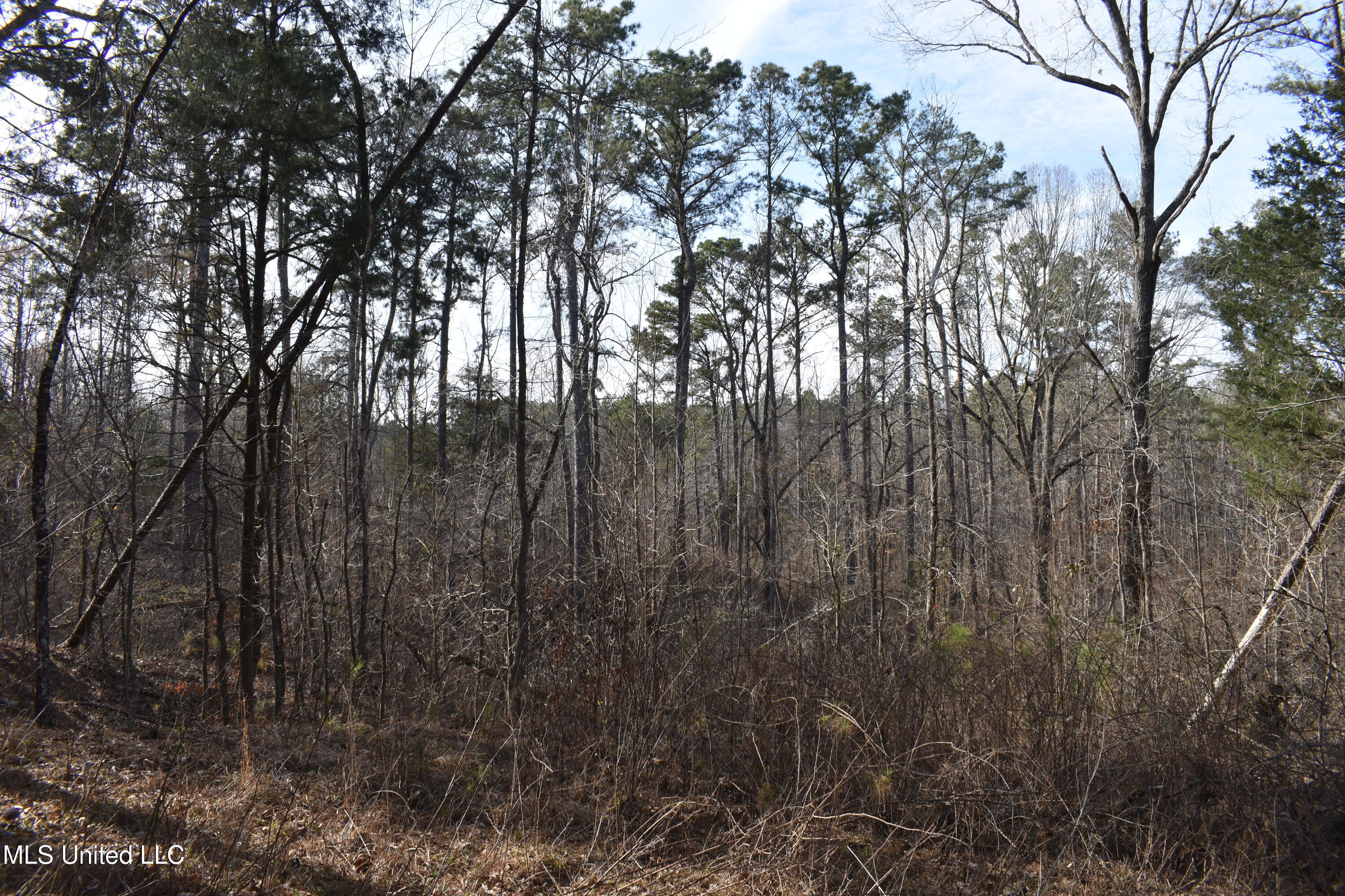 160 Simon Chapel Road Como, MS 38619 - Photo 48 of 94 DSC_0210